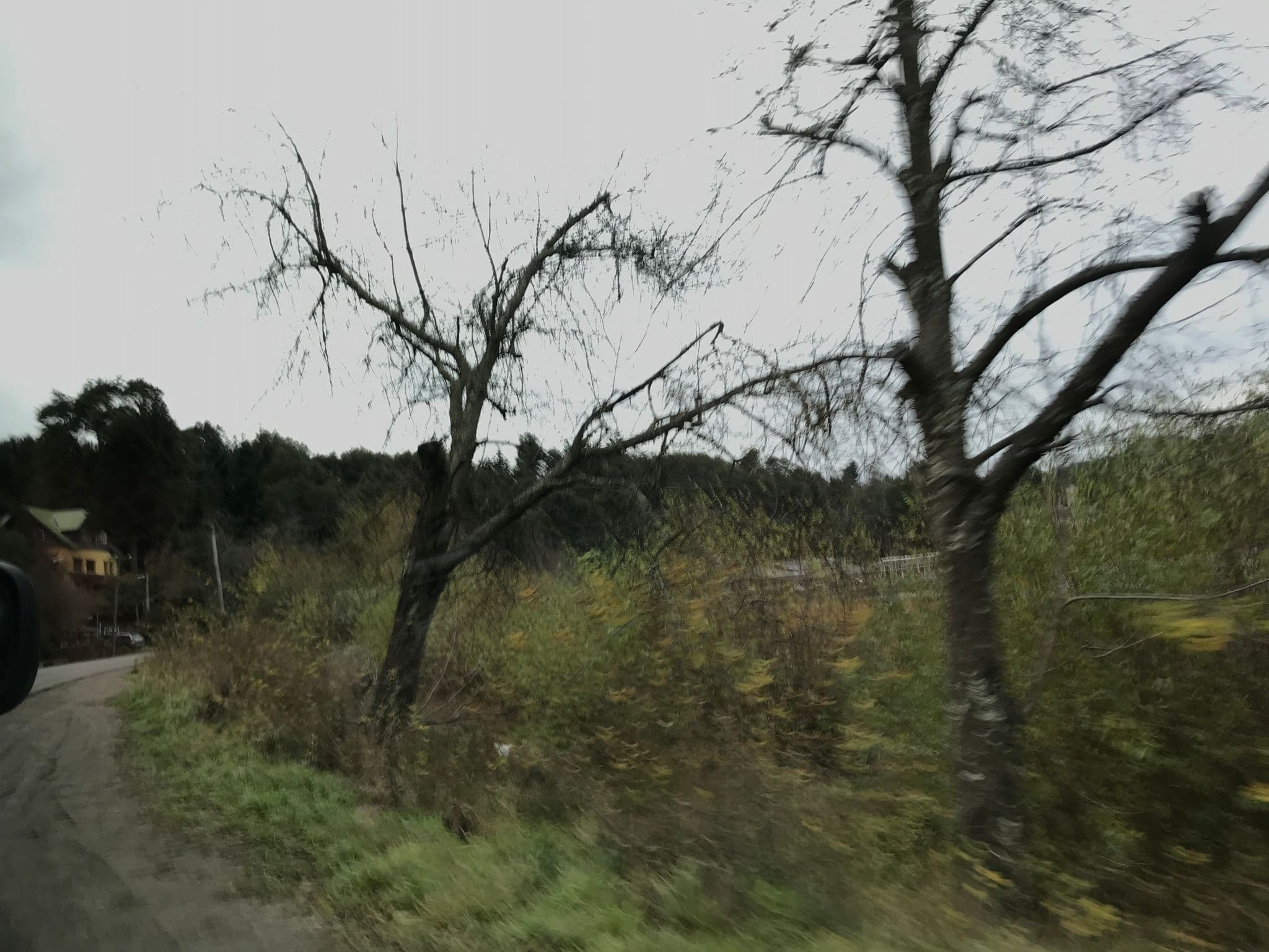 Street view near Posada los Juncos, San Carlos de Bariloche — © ejegg (CC BY-SA · Mapillary)