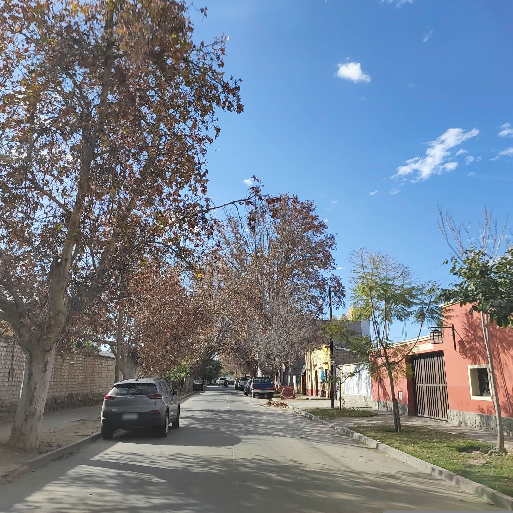 Street view near Hotel El Hospedaje - Cafayate, Cafayate — © diegokrein (CC BY-SA · Mapillary)