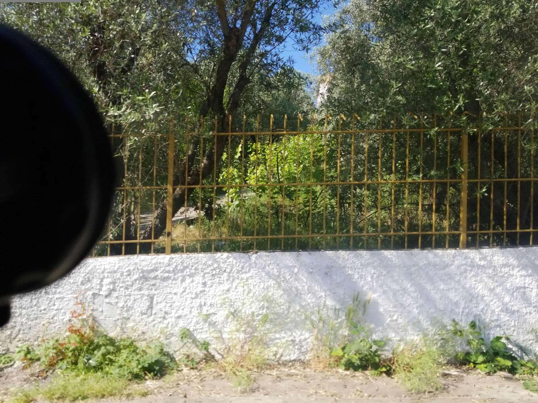 Street view near Olivar Hotel, Tirana