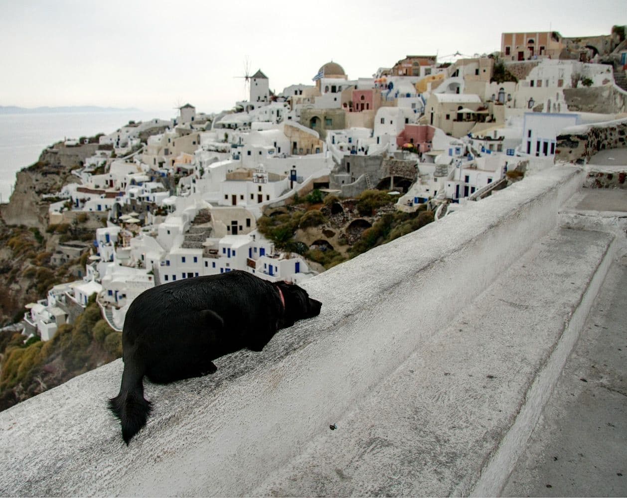 Street view near Old Castle Oia, Oía — © hubertj (CC BY-SA · Mapillary)