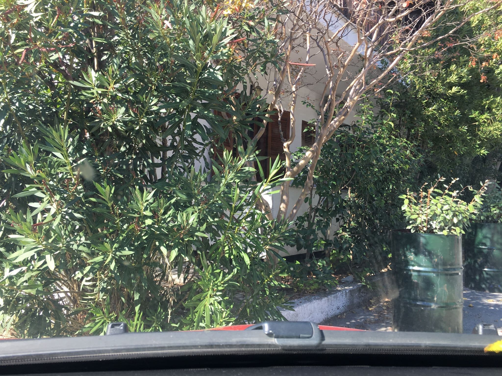 Street view near Πανσιόν Ειρήνη, Néa Róda — © noel (CC BY-SA · Mapillary)