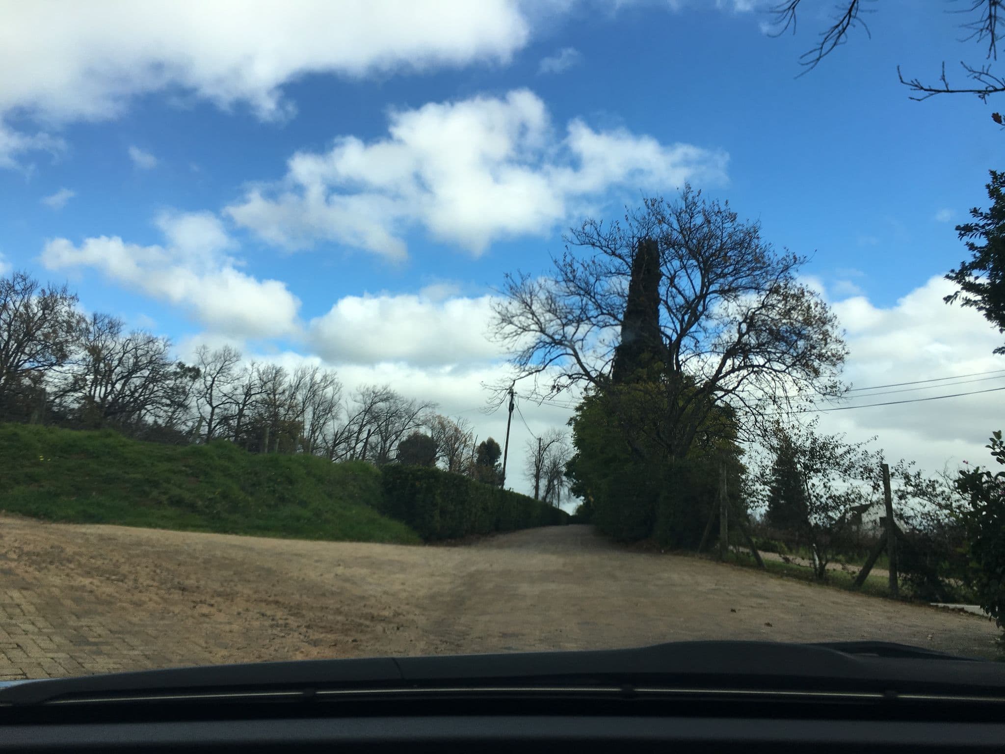 Street view near Jacana, Stellenbosch — © kingofafrica (CC BY-SA · Mapillary)