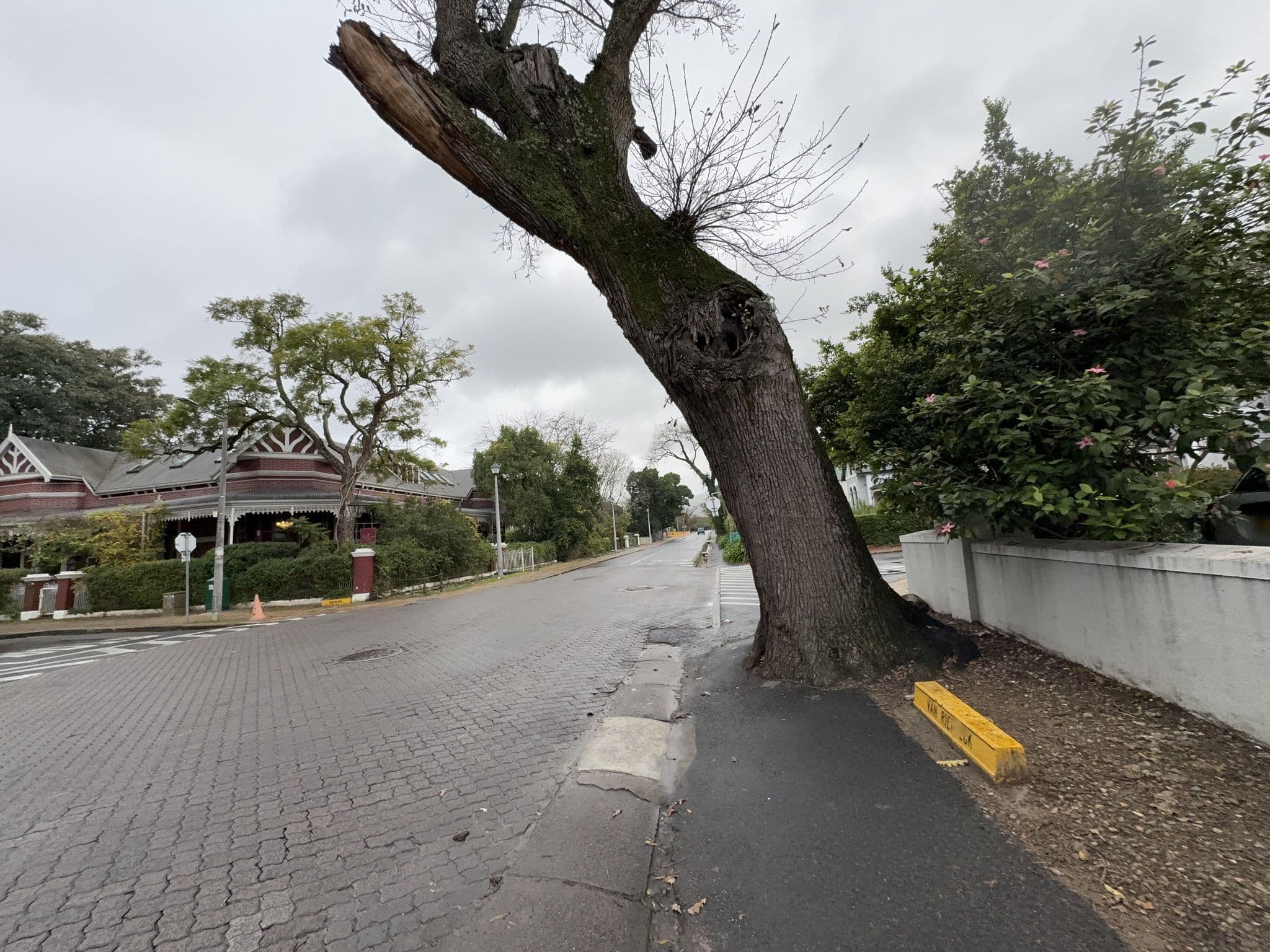 Street view near Roosenwijn Guesthouse Stellenbosch, Stellenbosch — © filipb (CC BY-SA · Mapillary)