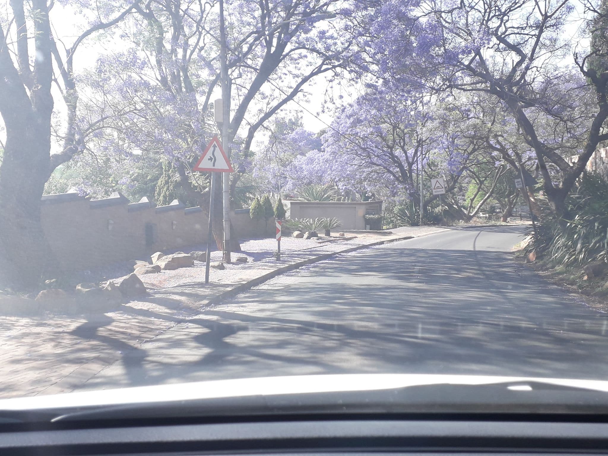 Street view near Over The Moon Guesthouse, Randburg — © lenah (CC BY-SA · Mapillary)