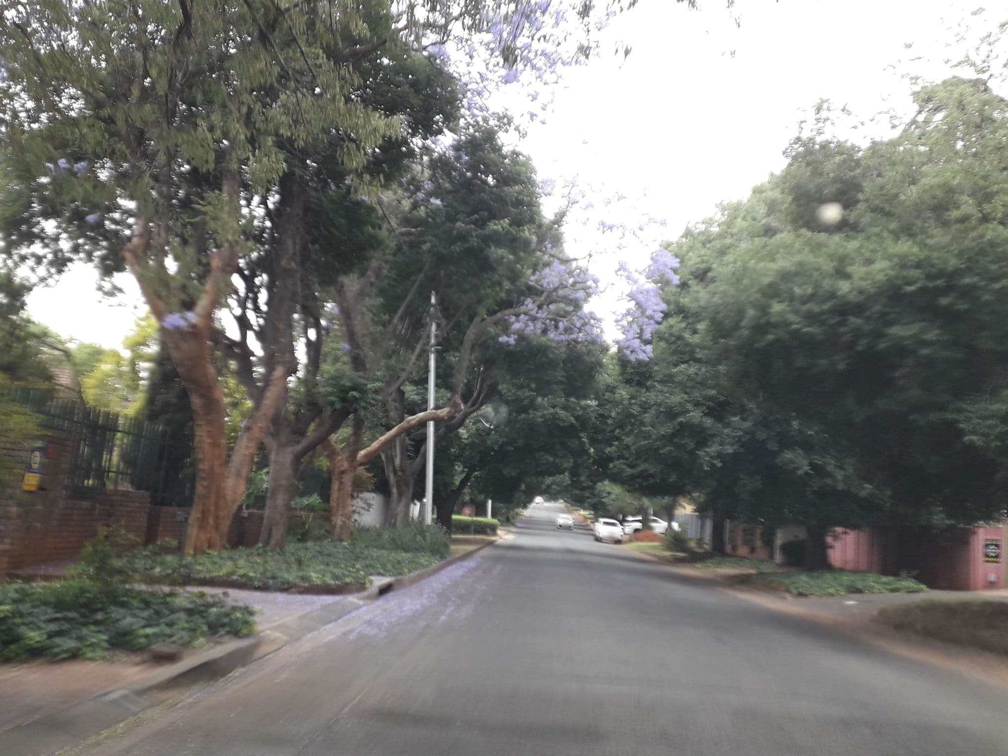 Street view near Paradiso Guest Lodge, Randburg — © lenah (CC BY-SA · Mapillary)