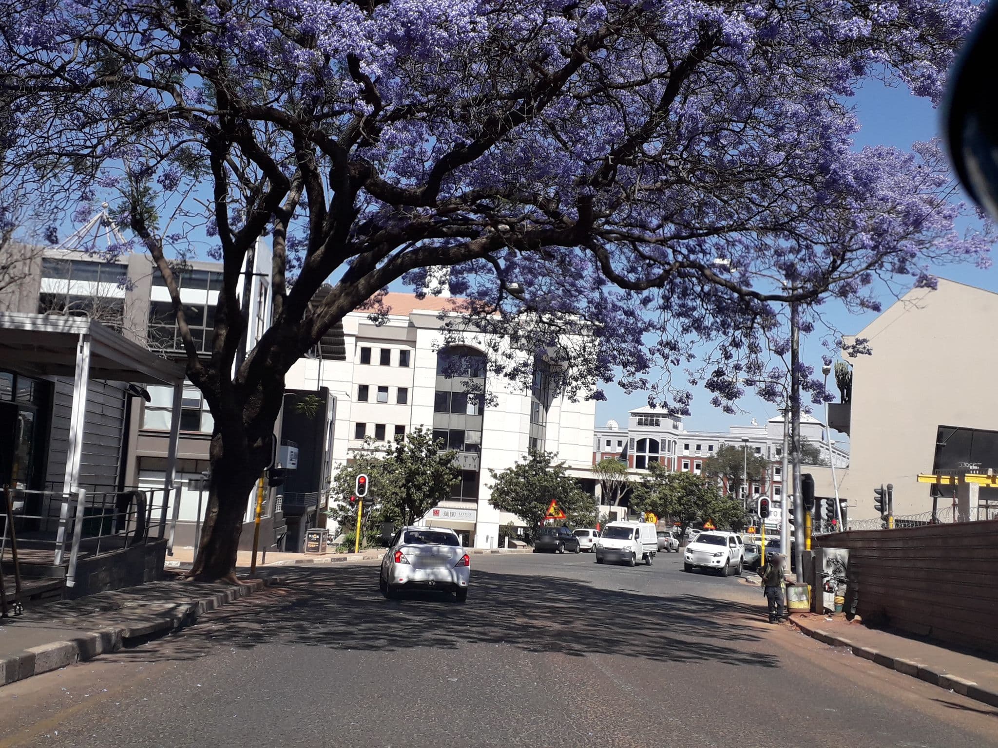 Street view near Jackrose, Johannesburg — © lenah (CC BY-SA · Mapillary)