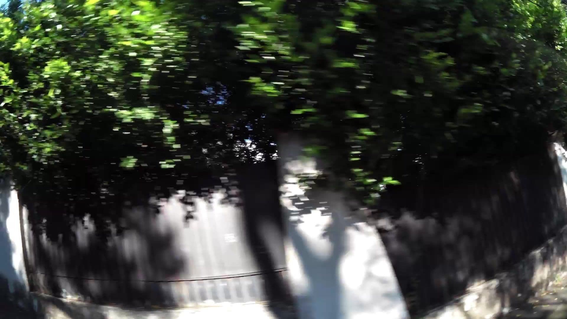 Street view near Green Samàn, Cali — © kaartcam (CC BY-SA · Mapillary)