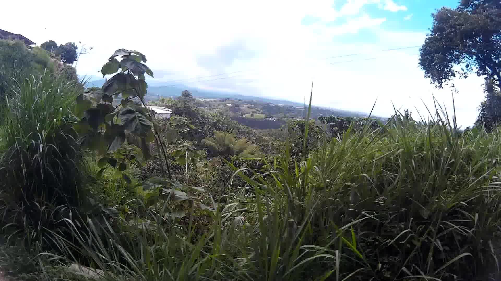 Street view near La Selecta Eco Hotel, Pereira — © humano (CC BY-SA · Mapillary)