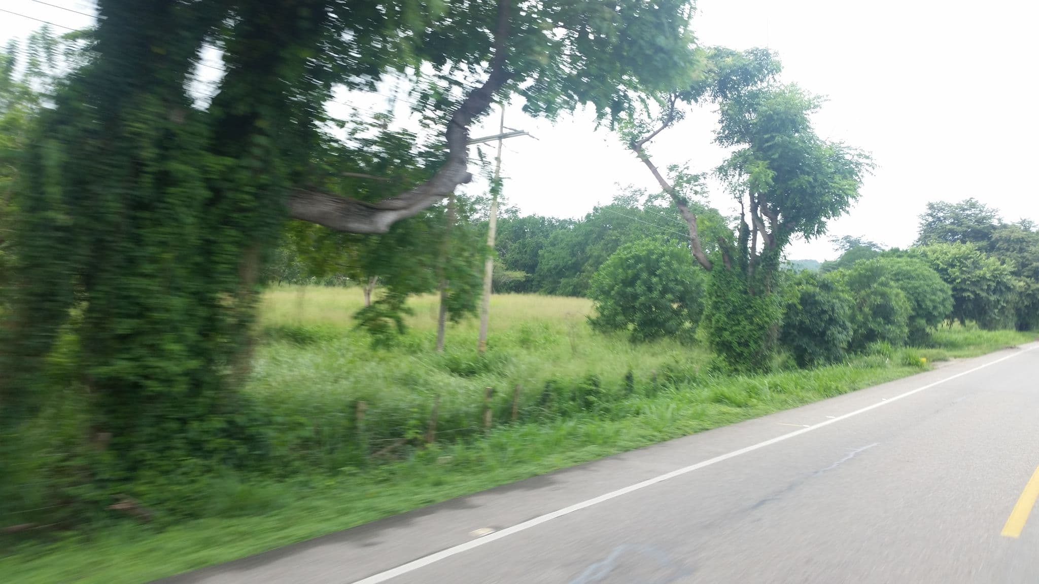 Street view near CasaGrande Surf Km 37 Vía Rioacha, Santa Marta — © ejegg (CC BY-SA · Mapillary)
