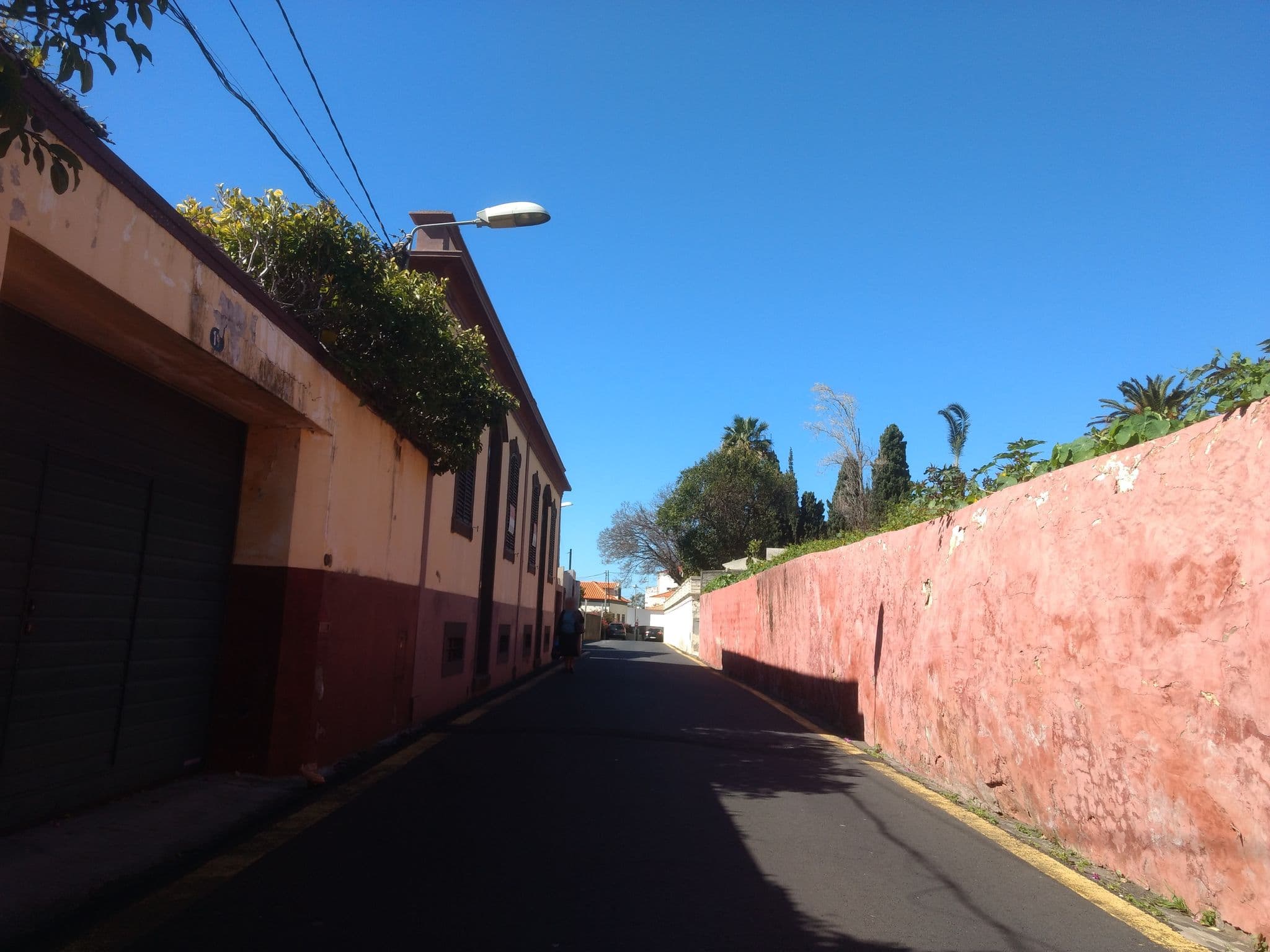 Street view near M J Oliveira, São Martinho — © nunocaldeira (CC BY-SA · Mapillary)