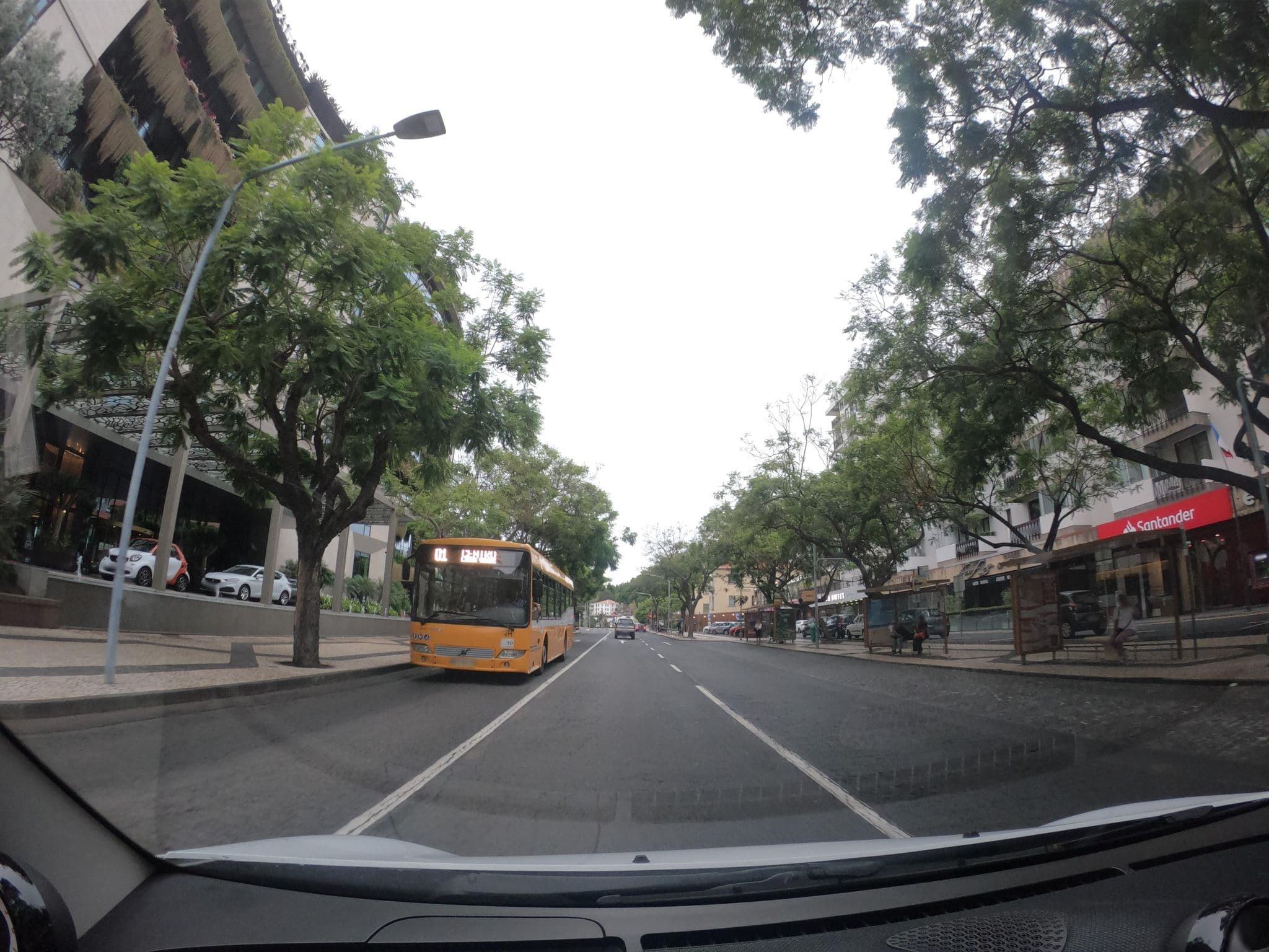 Street view near Hibiscus, São Martinho — © filipesilva (CC BY-SA · Mapillary)