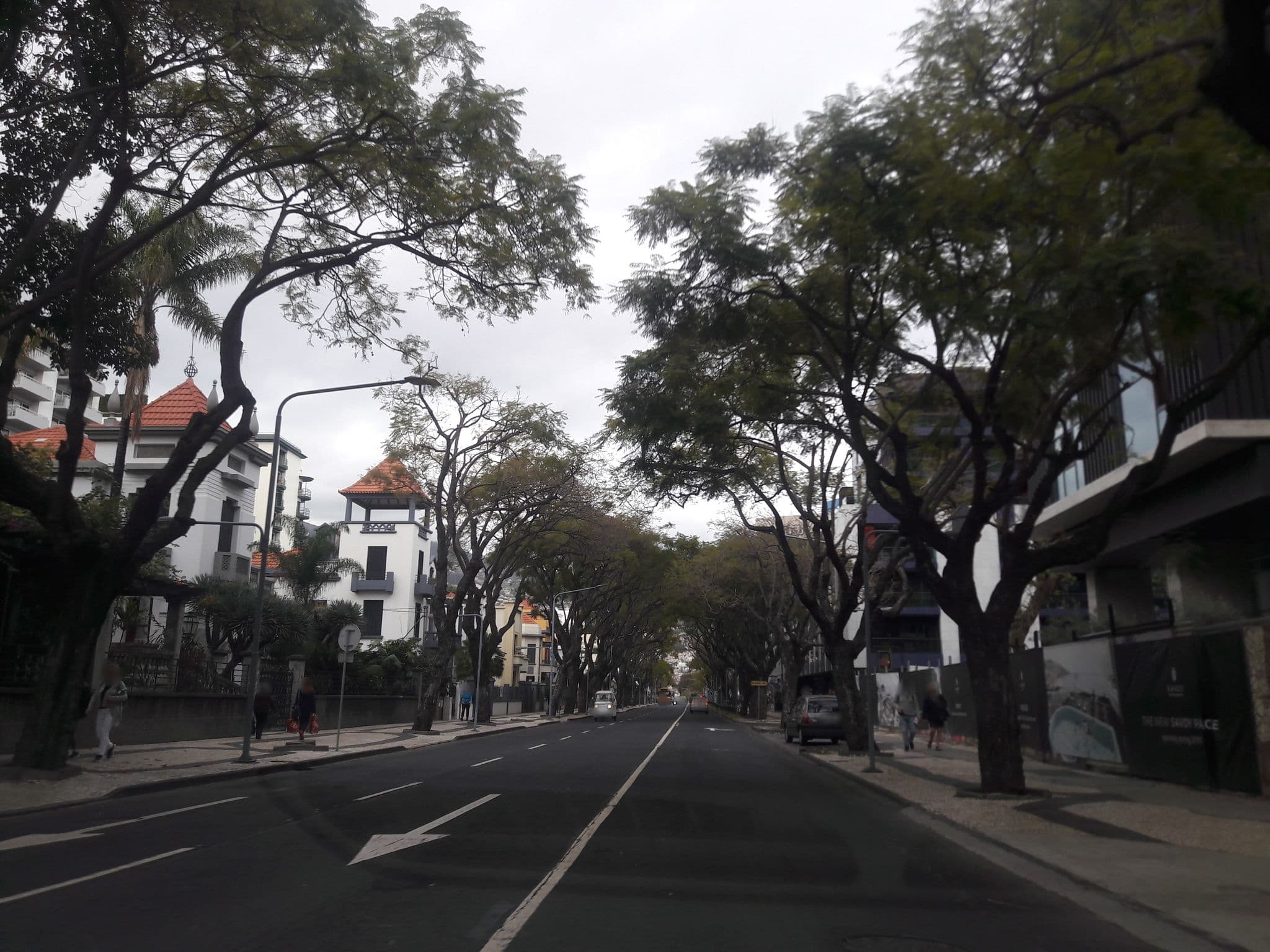Street view near Galaxia Skypool, São Martinho — © ggeographer (CC BY-SA · Mapillary)
