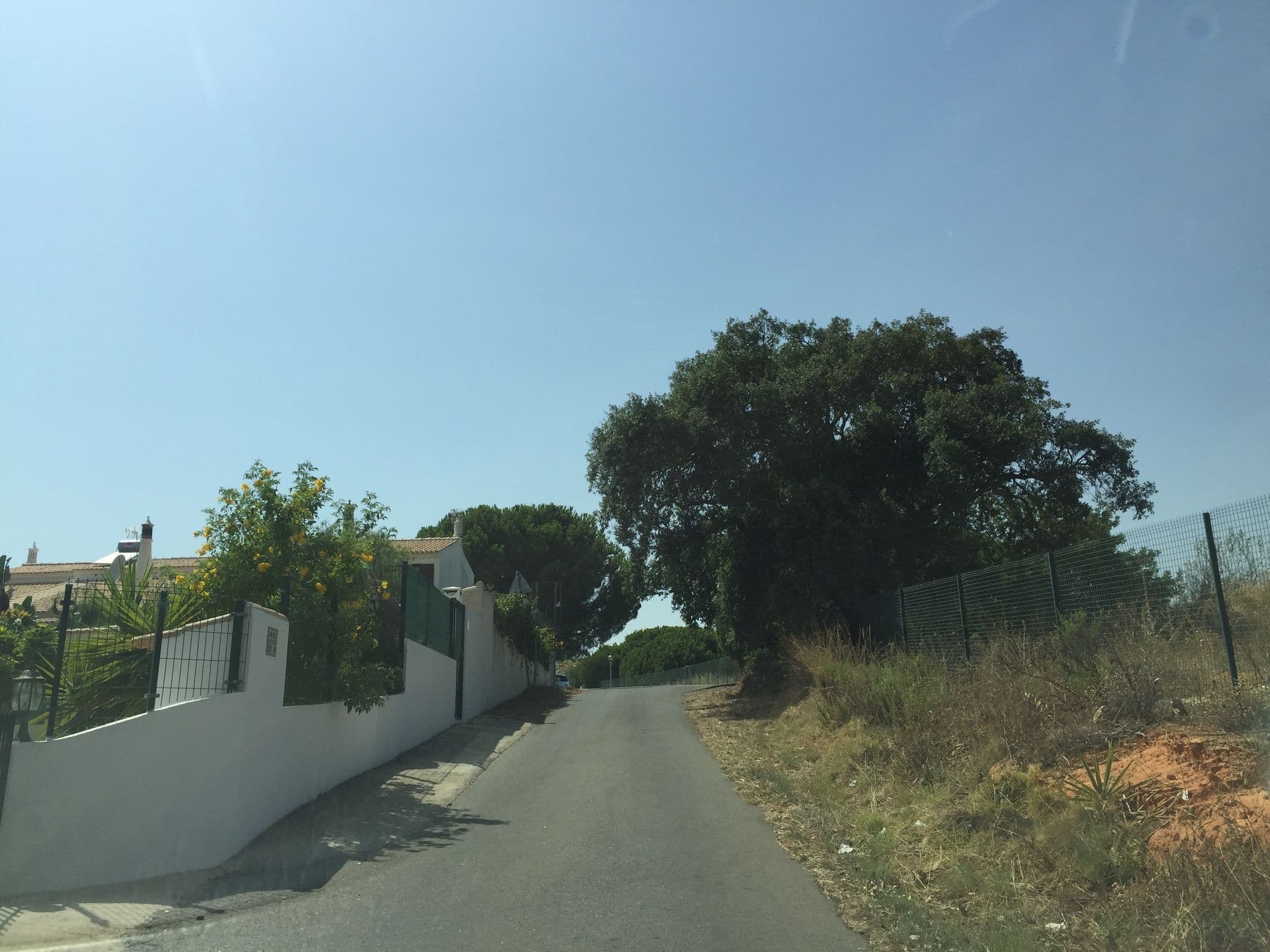 Street view near Vale da Azinheira, Olhos de Água — © ptmap (CC BY-SA · Mapillary)