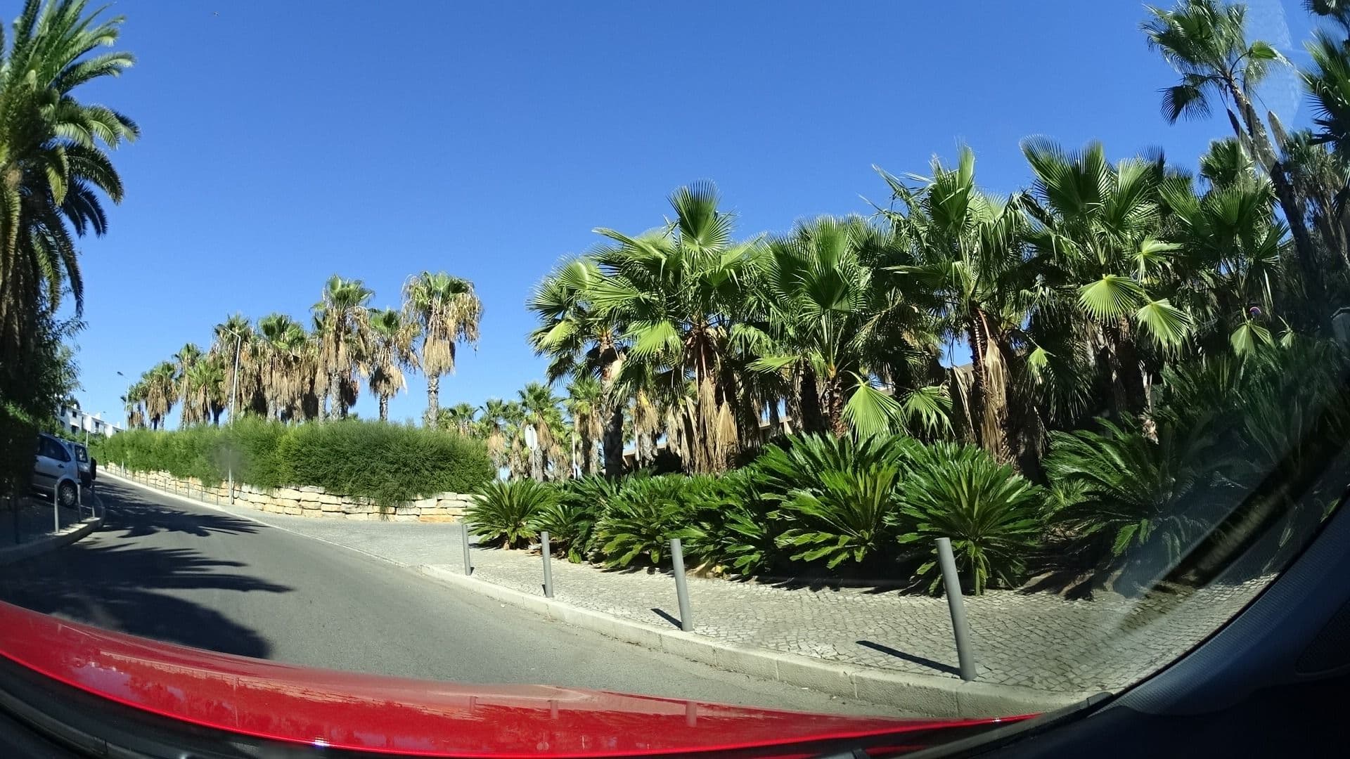 Street view near São Rafael Atlântico, Albufeira — © sashazykov (CC BY-SA · Mapillary)