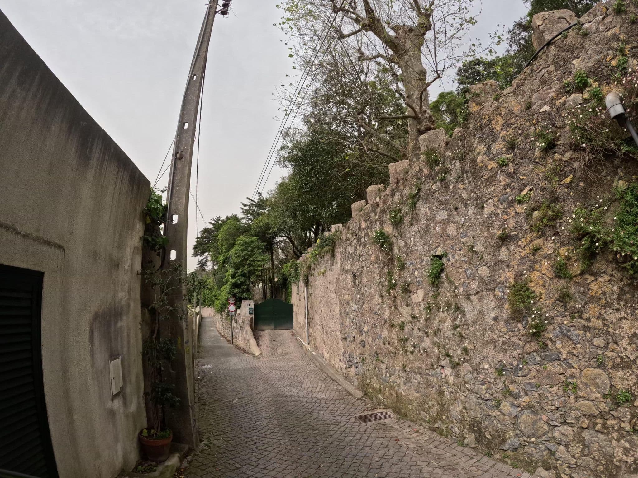 Street view near Caesar Park Penha Longa Golf Resort Hotel, Sintra — © claudiop (CC BY-SA · Mapillary)