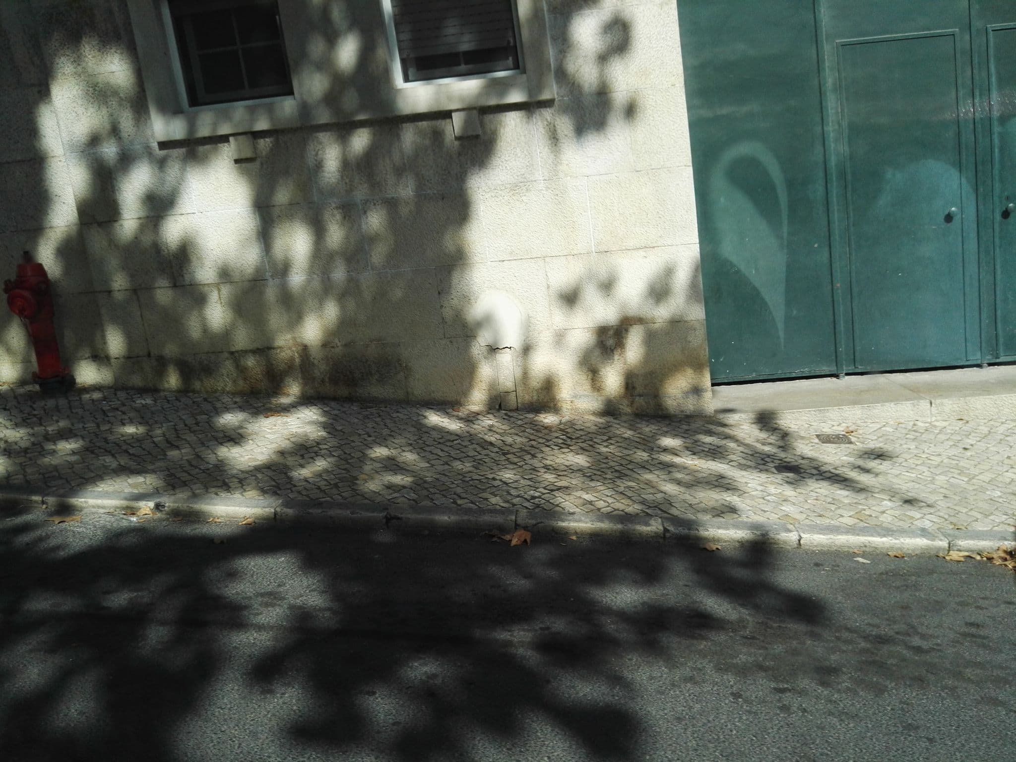 Street view near De Hygge Suites, Principe Real — © filipegraciosa (CC BY-SA · Mapillary)