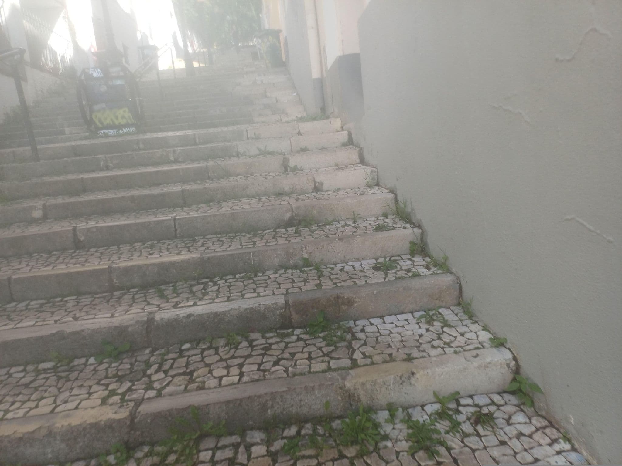 Street view near Travellers House studios, Intendente — © beer119 (CC BY-SA · Mapillary)