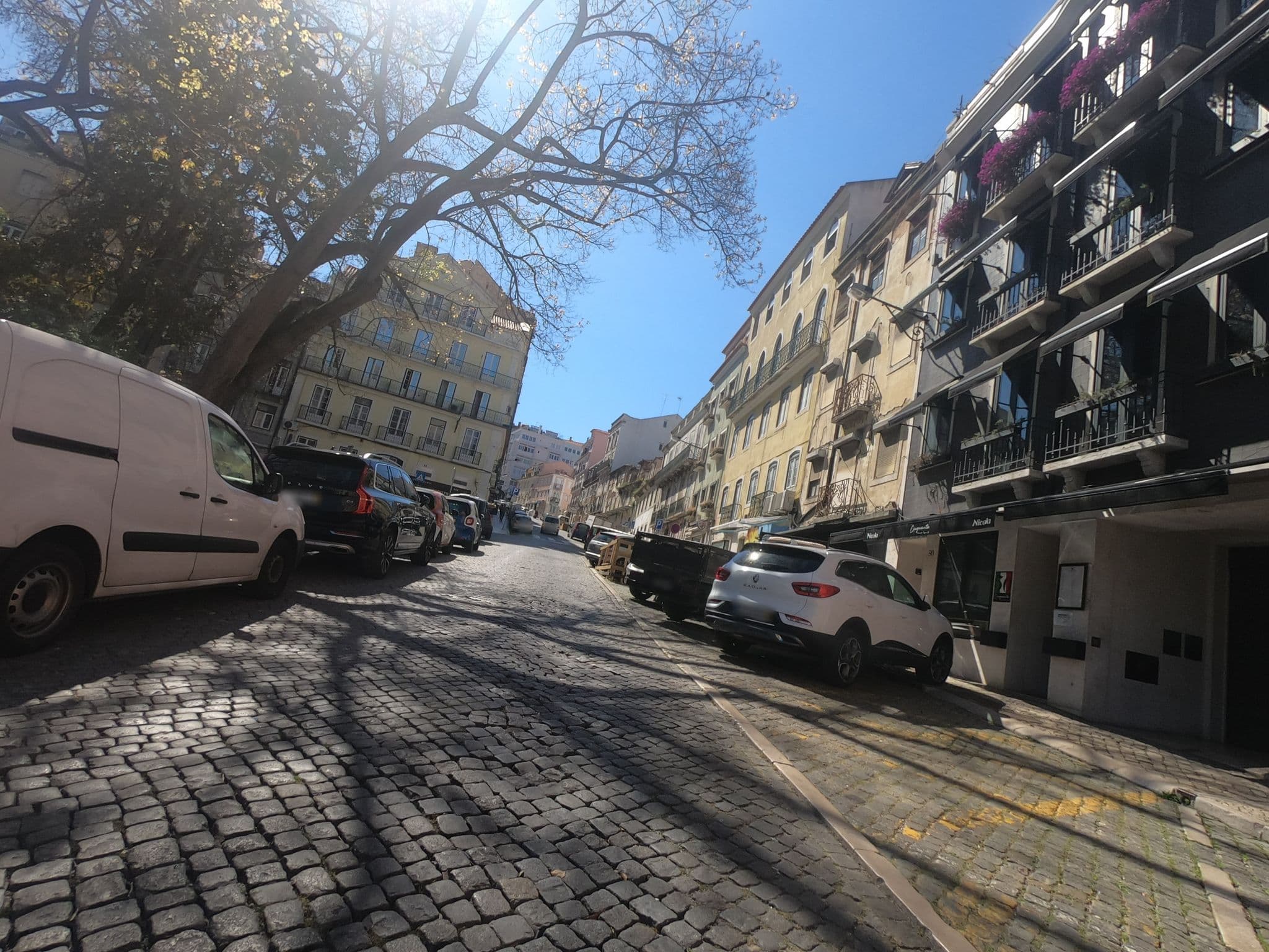 Street view near Lisbon Charm Flats, Principe Real — © filohipo (CC BY-SA · Mapillary)