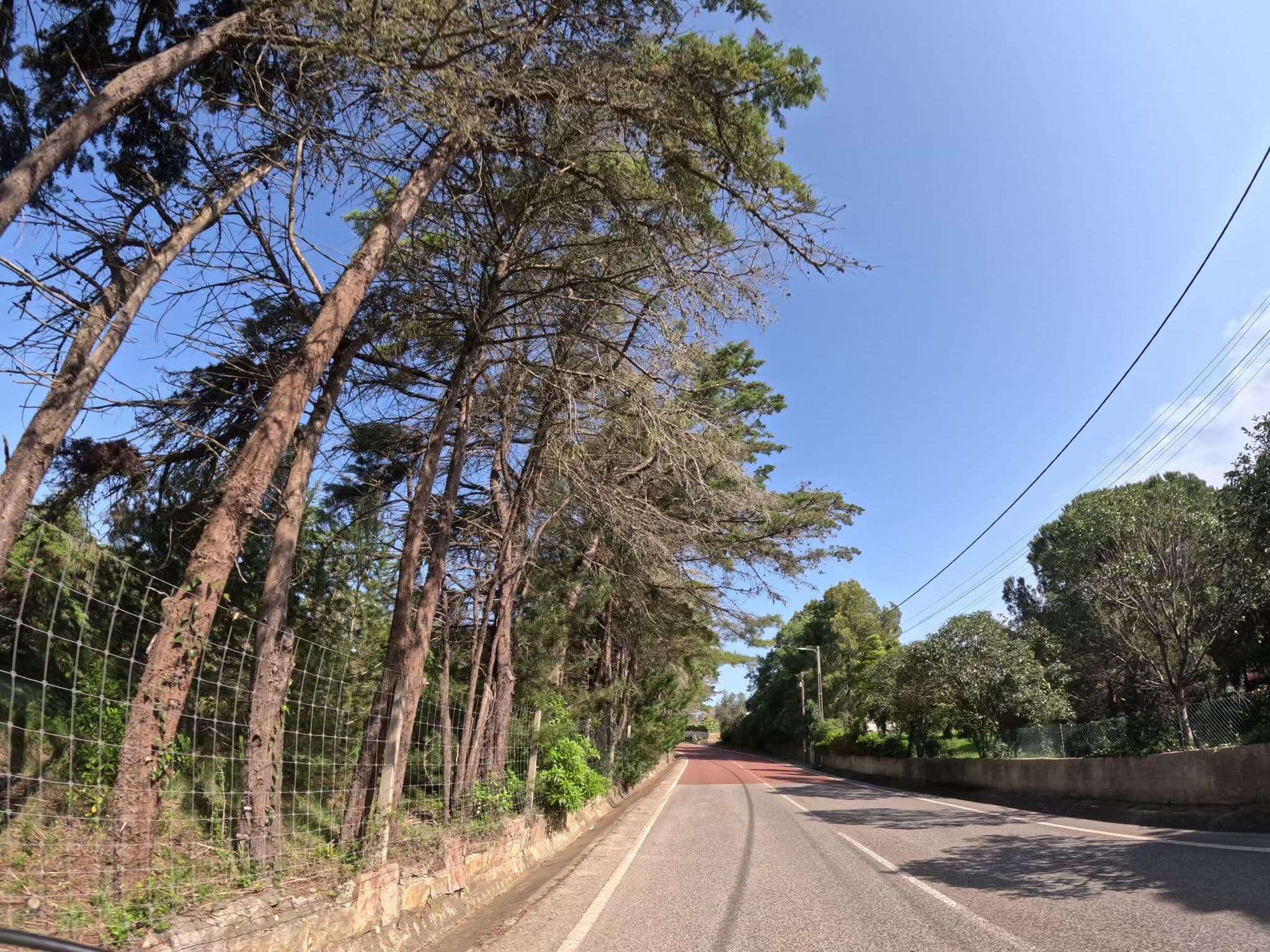 Street view near Quinta Verde Sintra - Casa de Campo, Sintra — © claudiop (CC BY-SA · Mapillary)