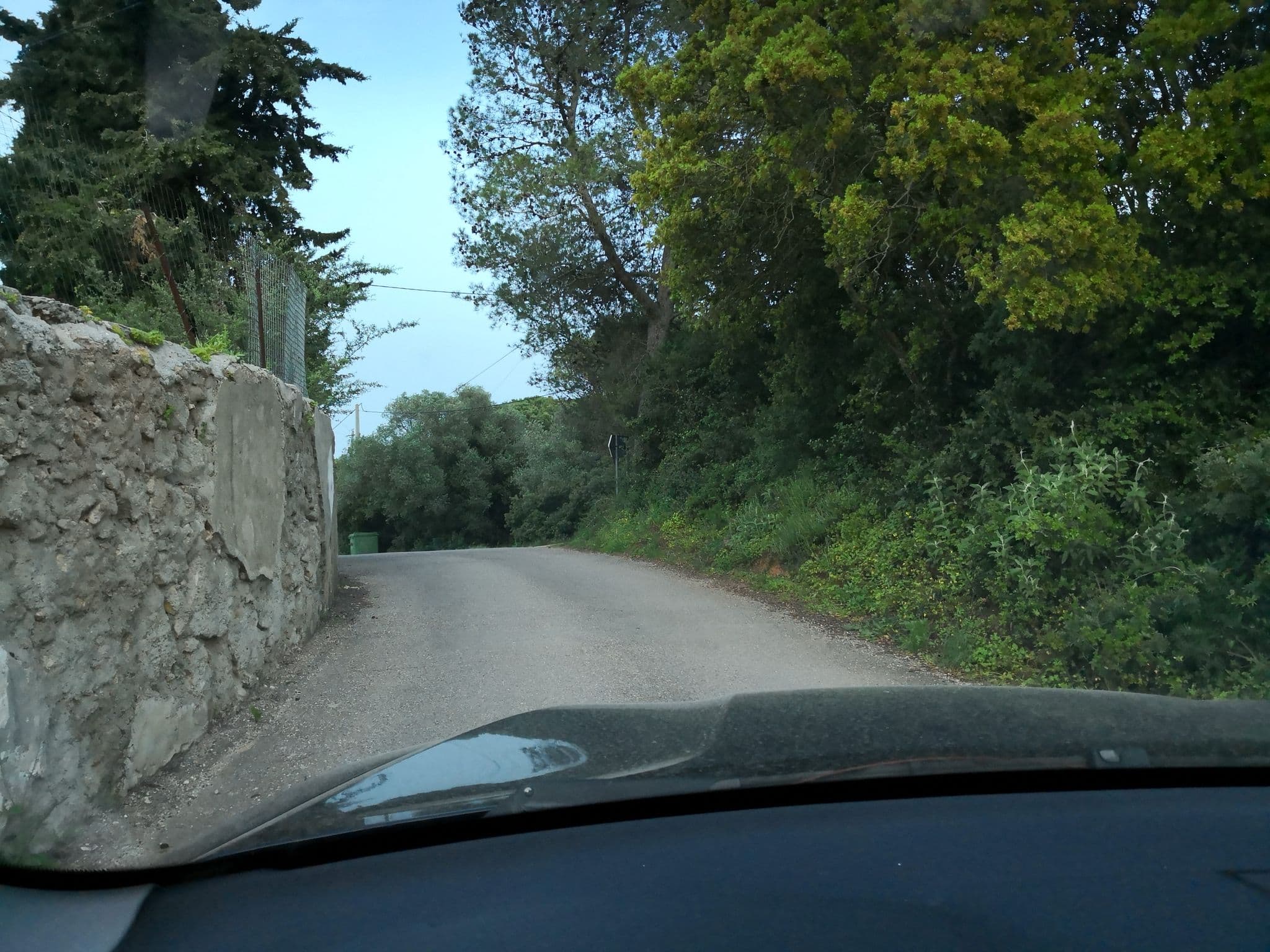 Street view near Quinta de São Filipe, Setúbal — © sanjorgepinho (CC BY-SA · Mapillary)