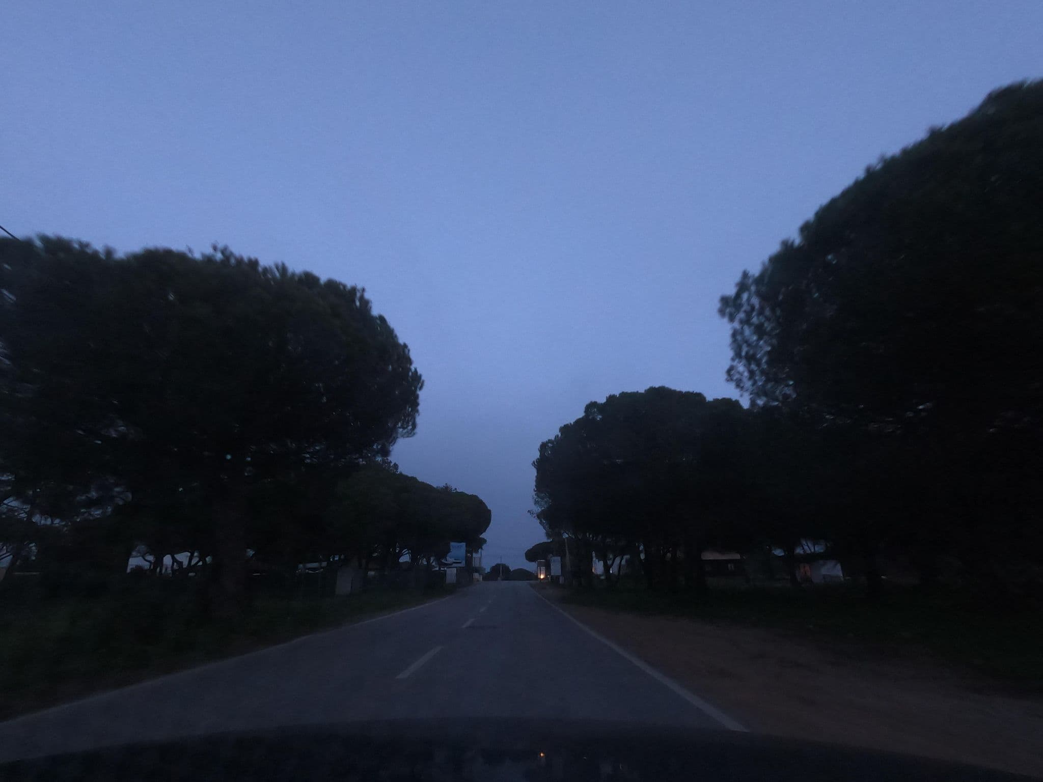 Street view near Ria Park Garden Hotel, Almancil — © filohipo (CC BY-SA · Mapillary)