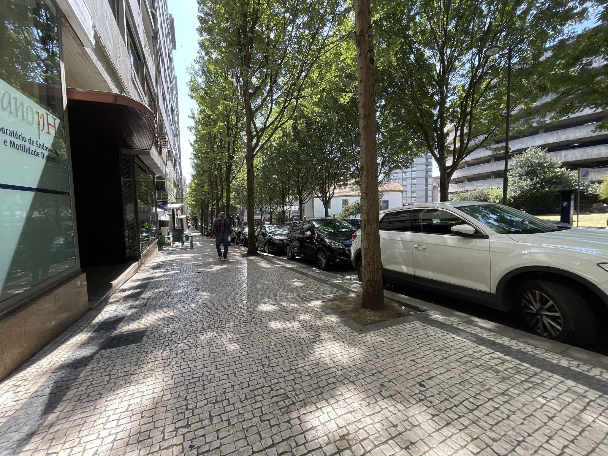 Street view near Feel Porto Downtown Harmony, Porto — © egorka (CC BY-SA · Mapillary)