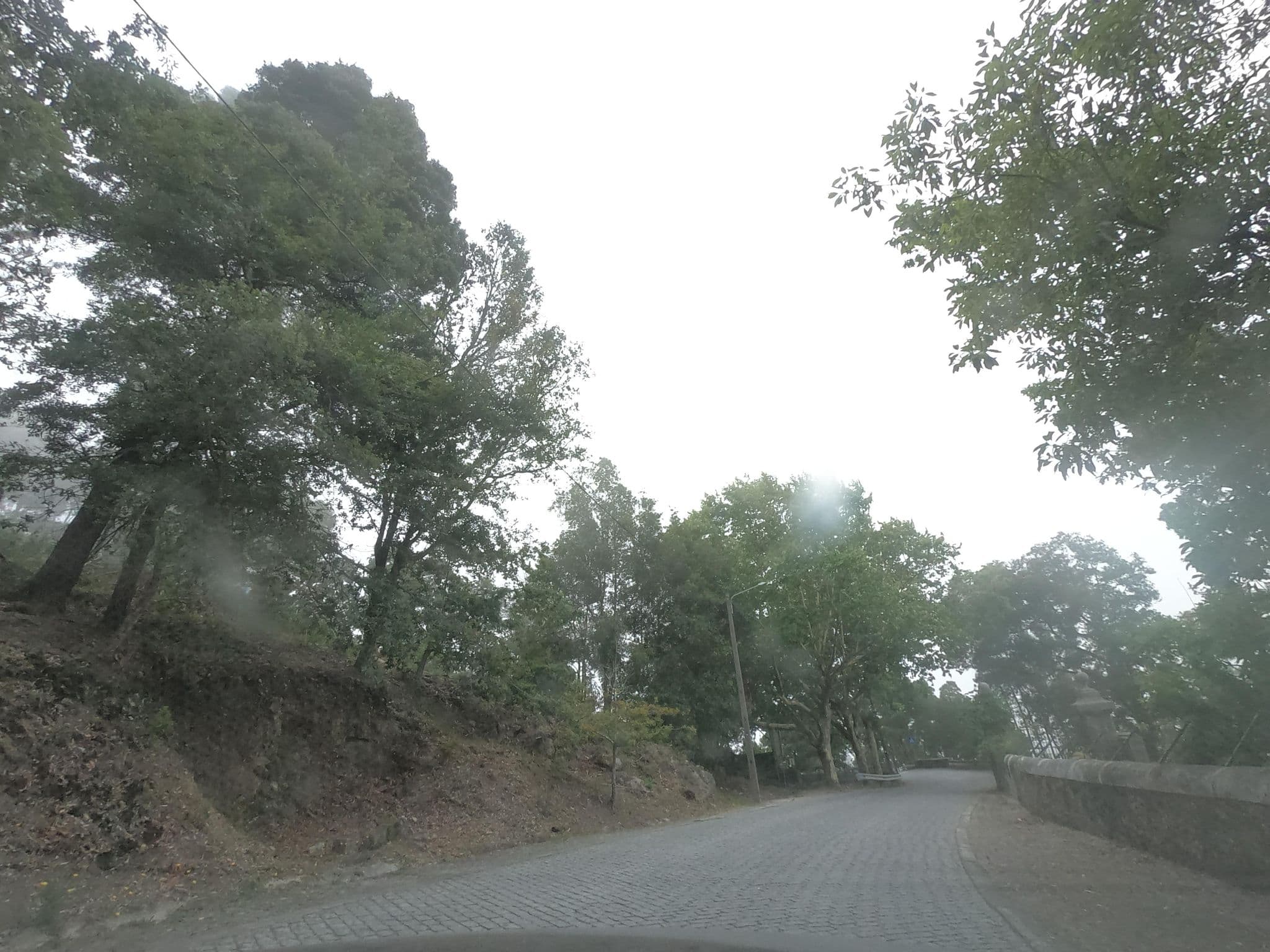 Street view near Casa Beleza, Viana do Castelo — © filohipo (CC BY-SA · Mapillary)