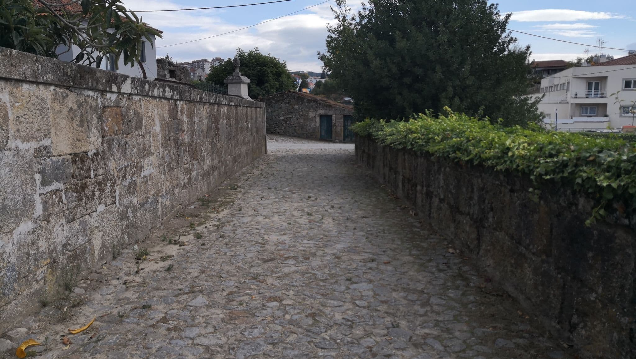 Street view near Casa da Timpeira, Vila Real — © sanjorgepinho (CC BY-SA · Mapillary)