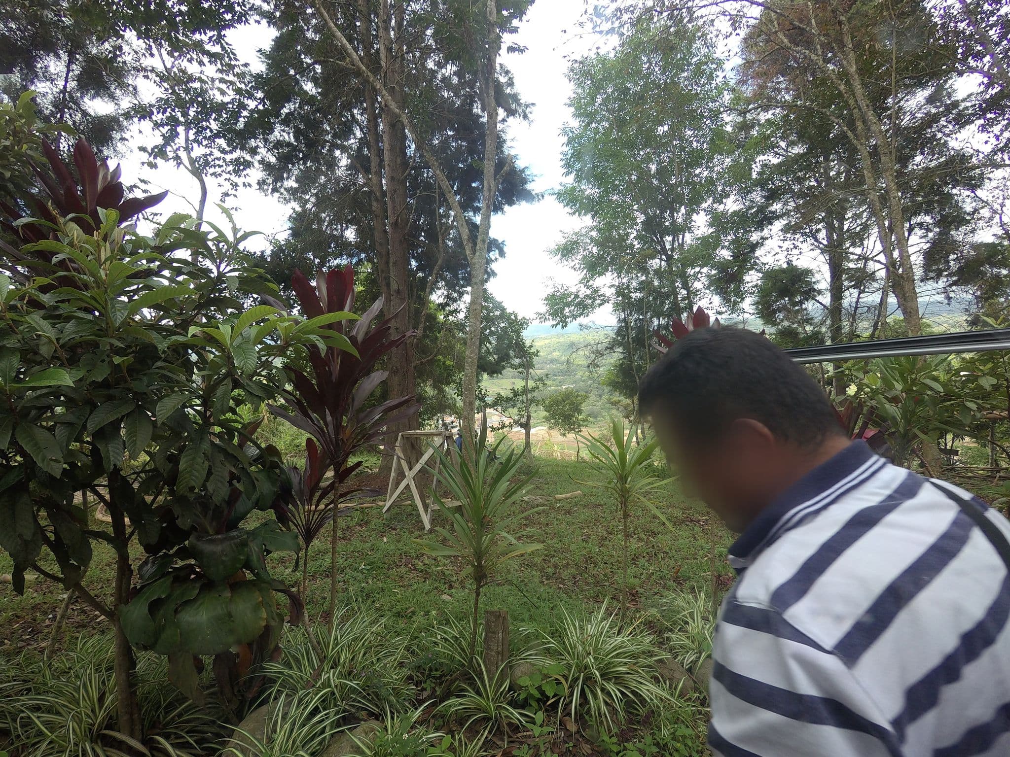 Street view near Casa de Francois, San Agustín — © angoca (CC BY-SA · Mapillary)