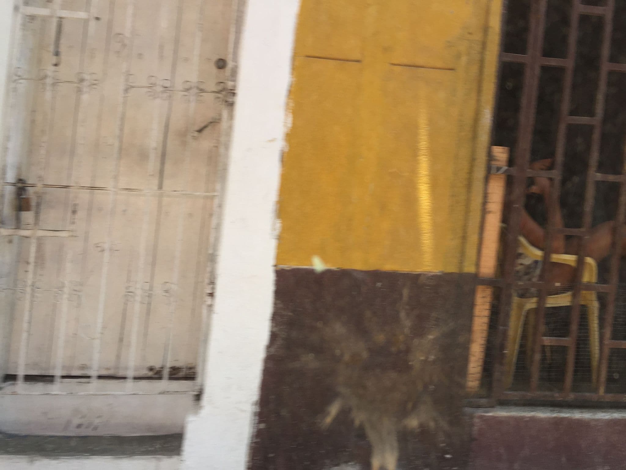 Street view near Hostal 96 pecas, Cartagena