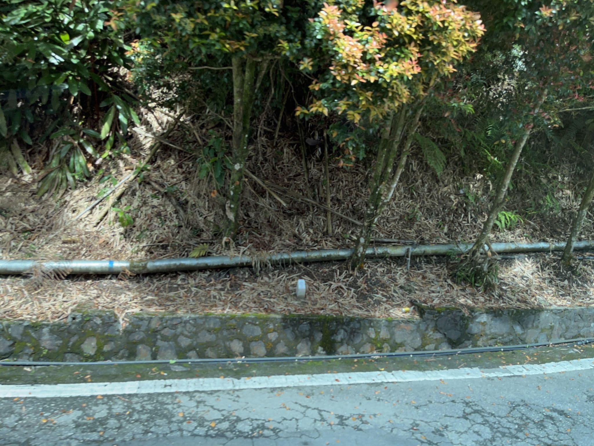 Street view near Room 10565, Awana Hotels & Resorts, Genting Highlands, Kampung Bukit Tinggi, Bentong — © DriveWithHoang (CC BY-SA · Mapillary)