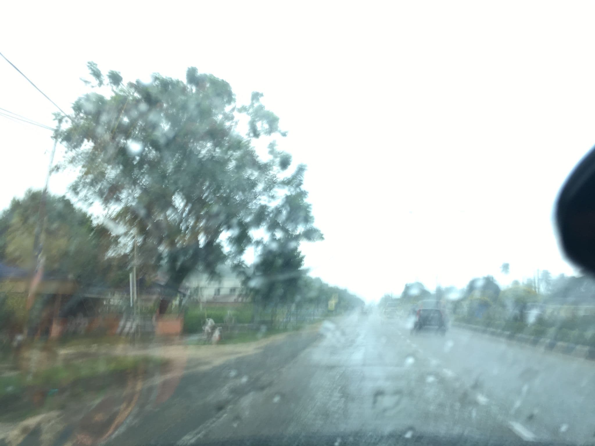 Street view near Warung Rumah Kuning, Cukai — © afeezaziz (CC BY-SA · Mapillary)