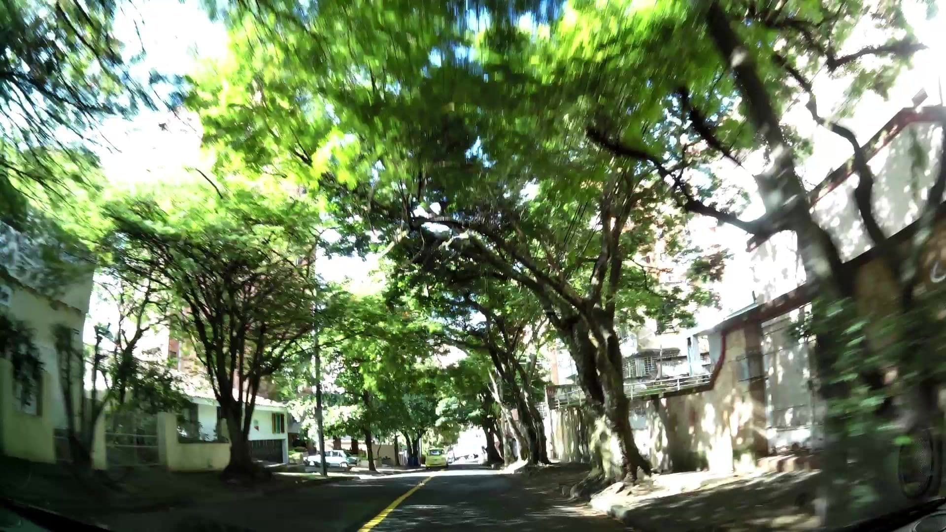 Street view near Kilele hostel, Cali — © kaartcam (CC BY-SA · Mapillary)