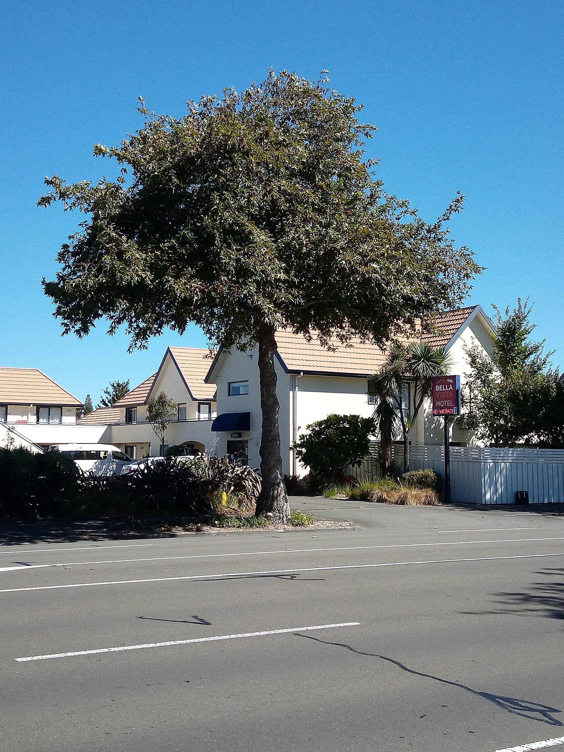 Bella Vista Motel Palmerston North (via Wikimedia Commons, CC BY-SA 4.0)