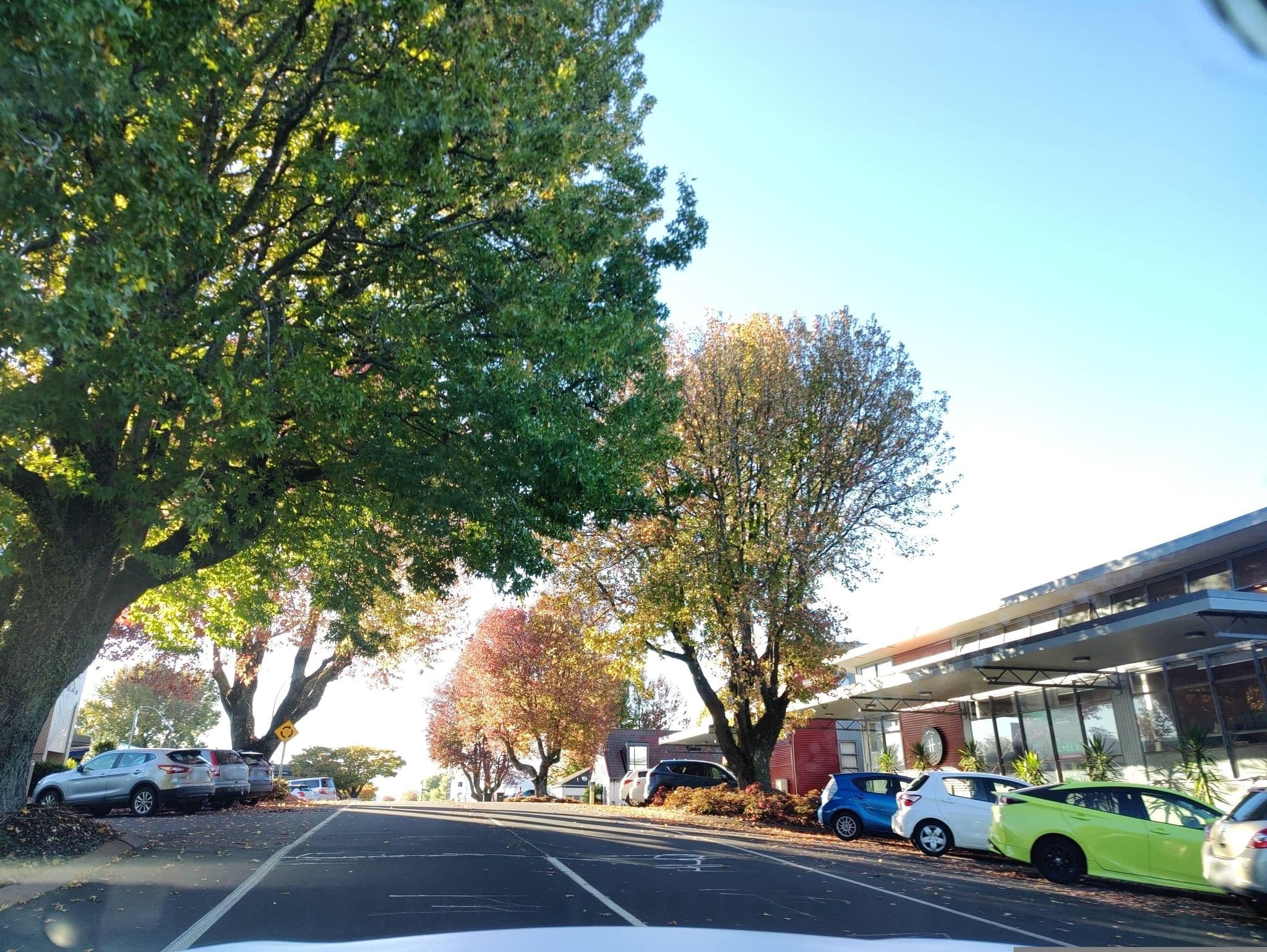 Street view near YHA, Rotorua — © elphix (CC BY-SA · Mapillary)