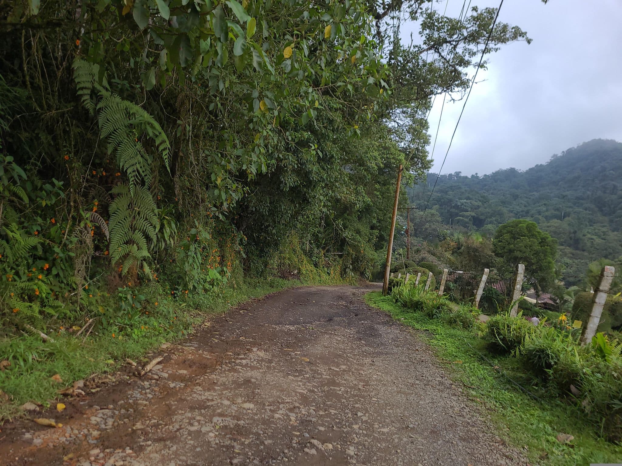 Street view near Hotel El Faro del 18, Cali