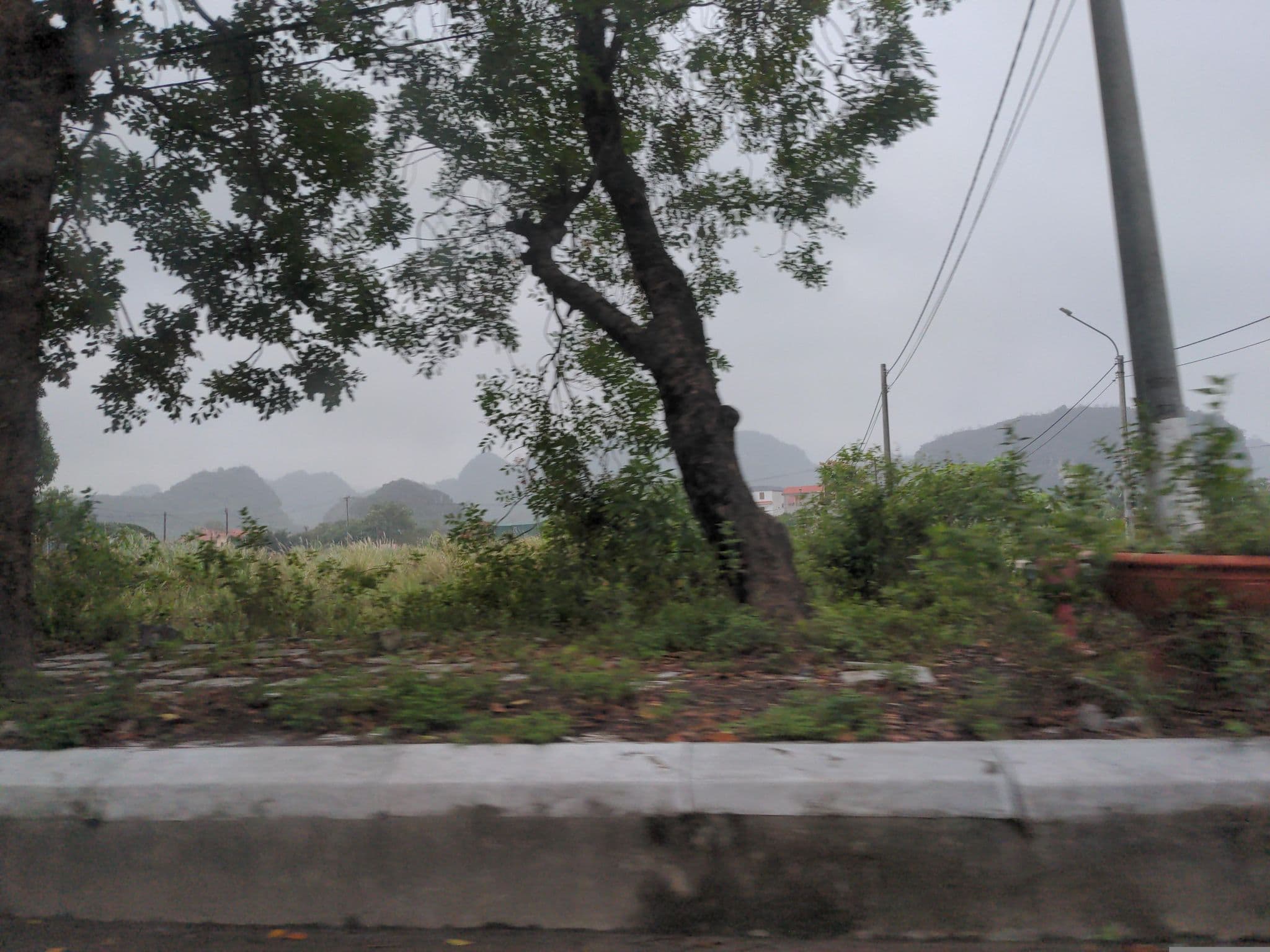 Street view near Little Tam Coc, Ninh Bình — © eneerhut (CC BY-SA · Mapillary)