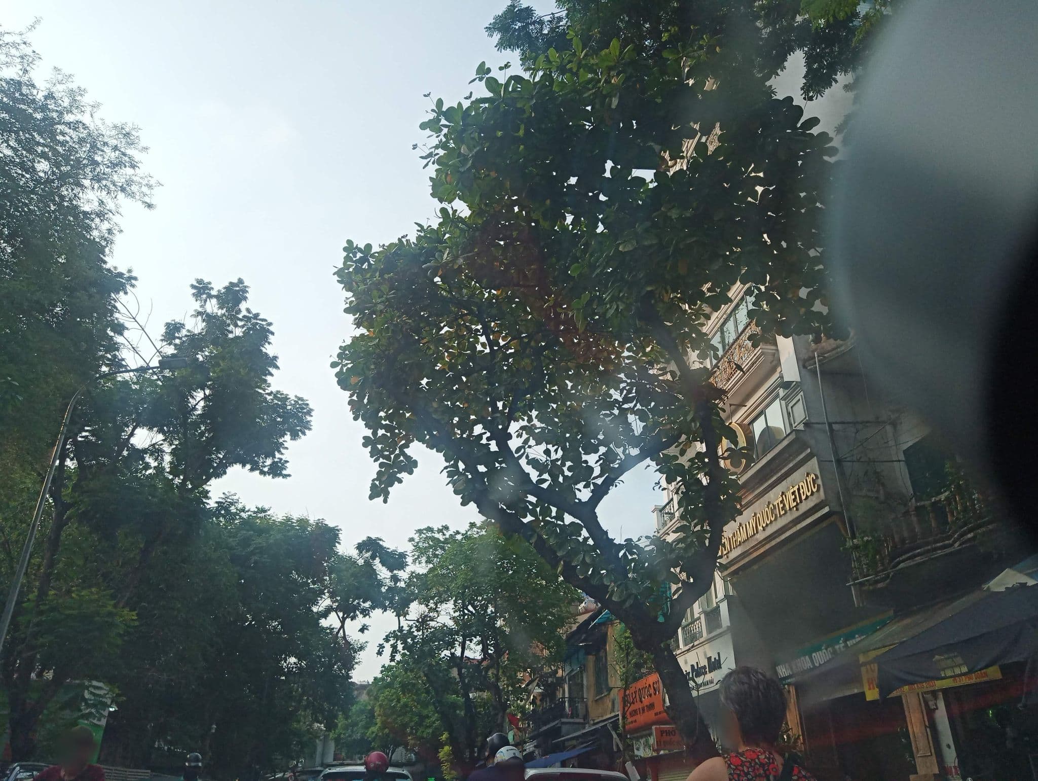 Street view near Khách Sạn 54 Ngõ Huyện, Hoàn Kiếm — © hn_front_1 (CC BY-SA · Mapillary)