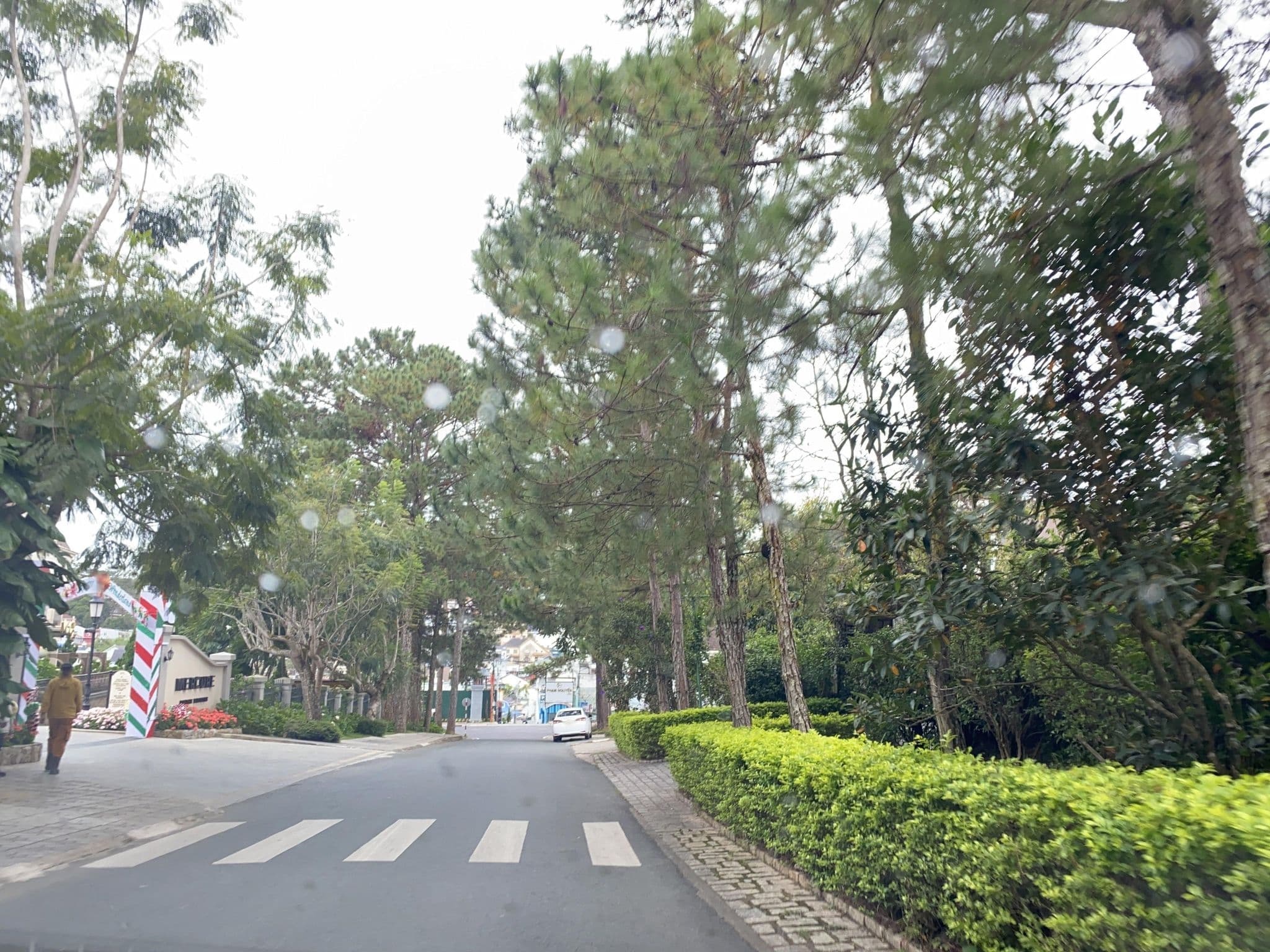 Street view near Monet Garden Villa Da lat, Ðà Lạt — © DriveWithHoang (CC BY-SA · Mapillary)