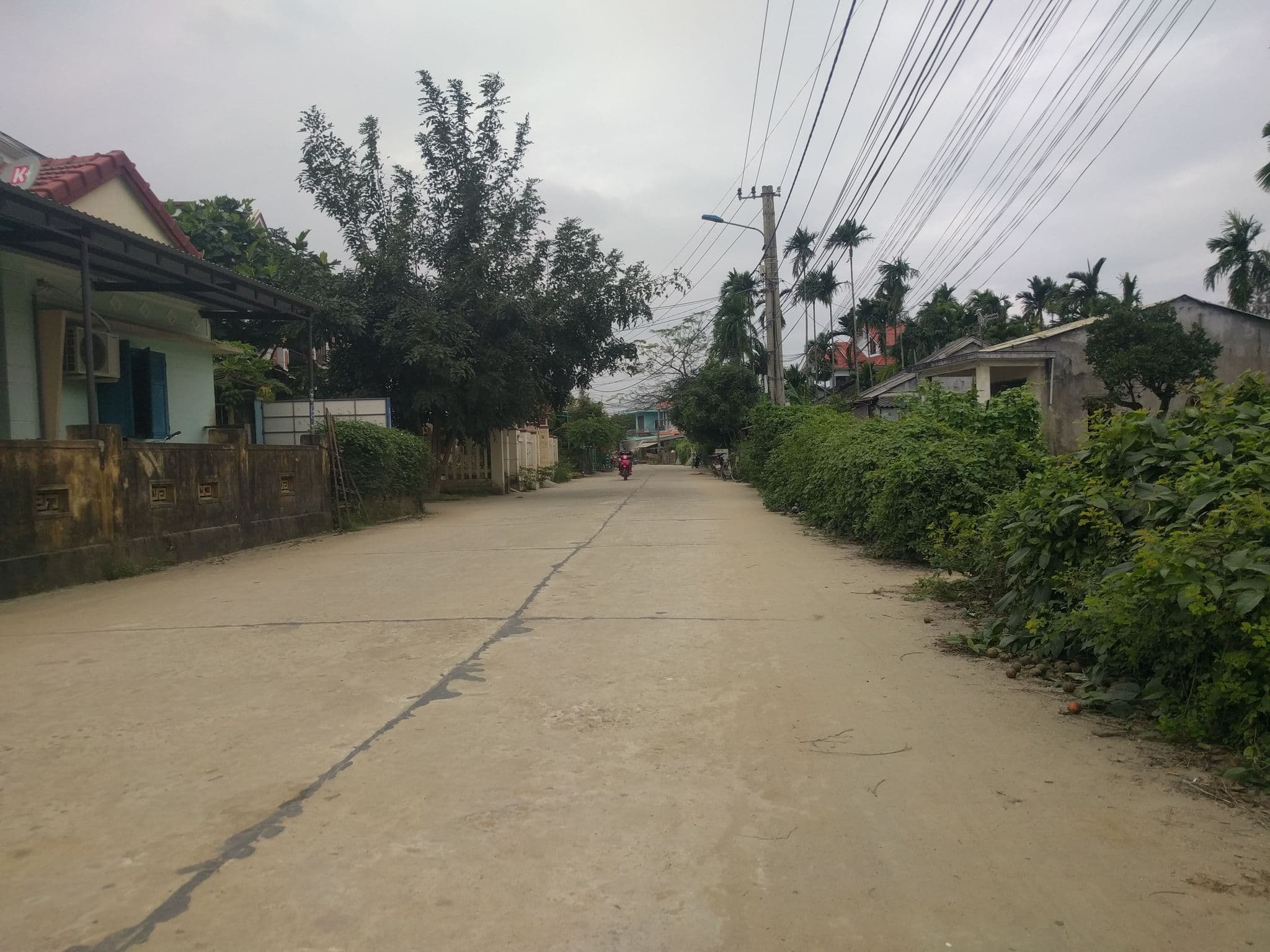 Street view near Countryside Garden Homestay, Hoi An — © emackres (CC BY-SA · Mapillary)