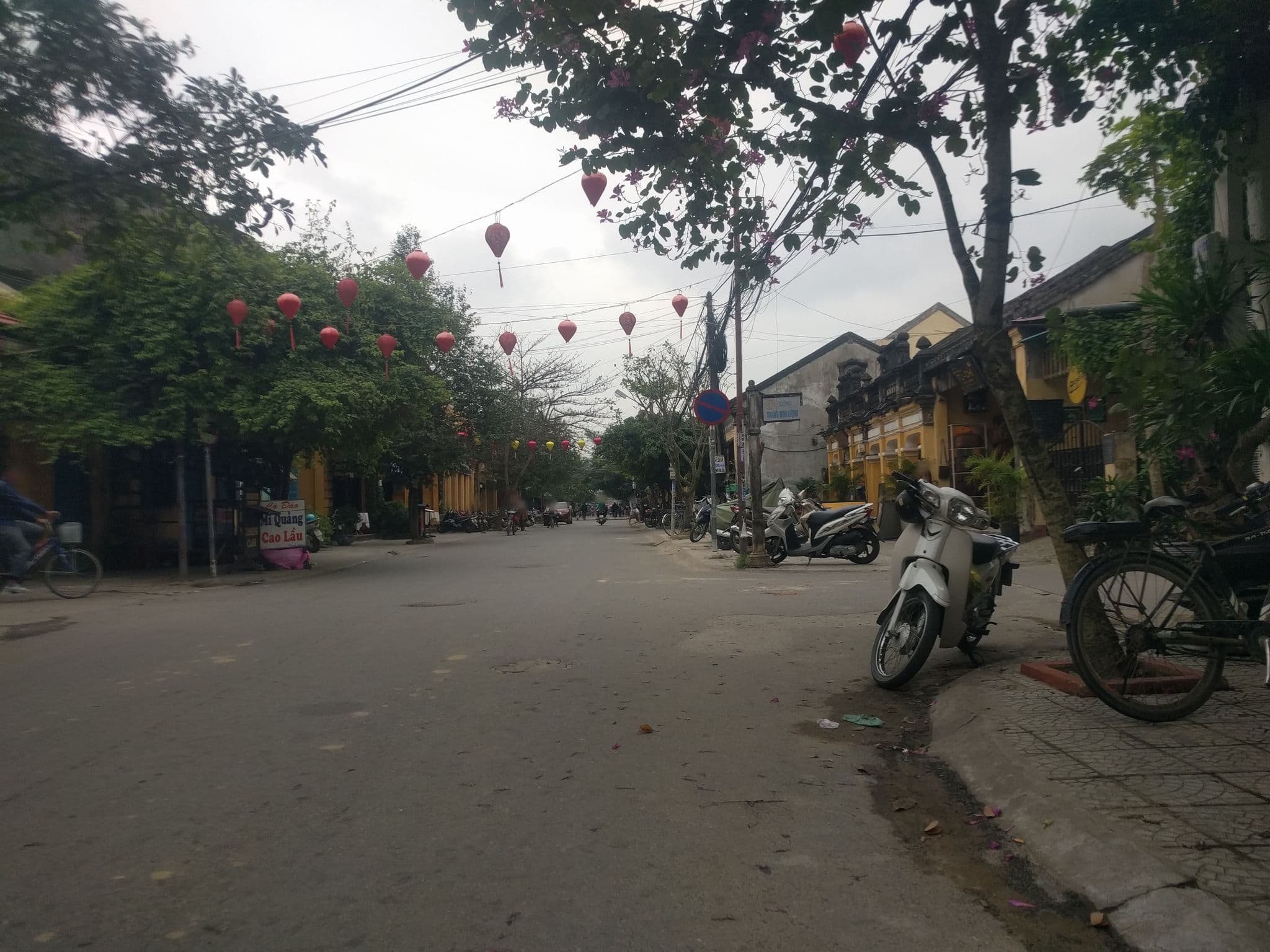 Street view near Tea Garden Homestay, Hoi An — © emackres (CC BY-SA · Mapillary)