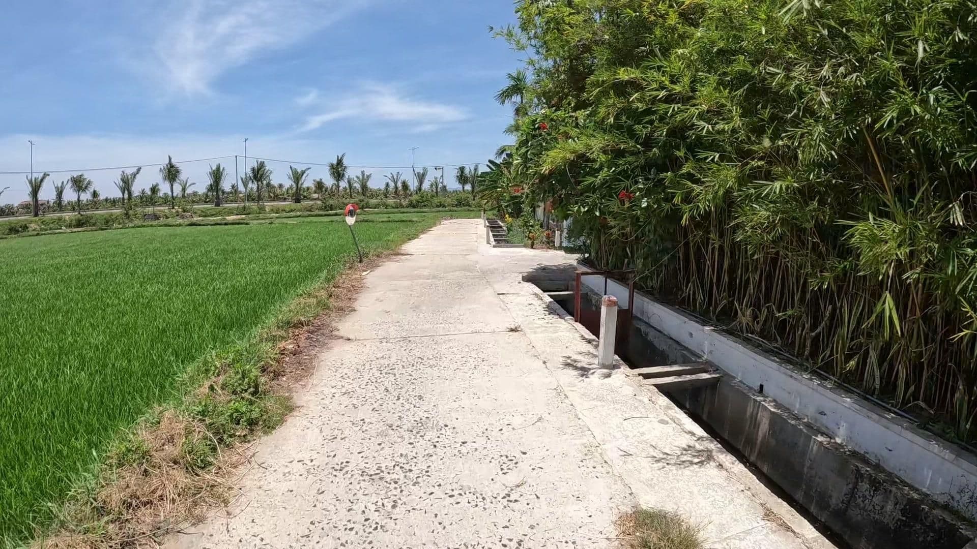 Street view near Heron House, Tra Que Vegetable Village — © lucomsky (CC BY-SA · Mapillary)