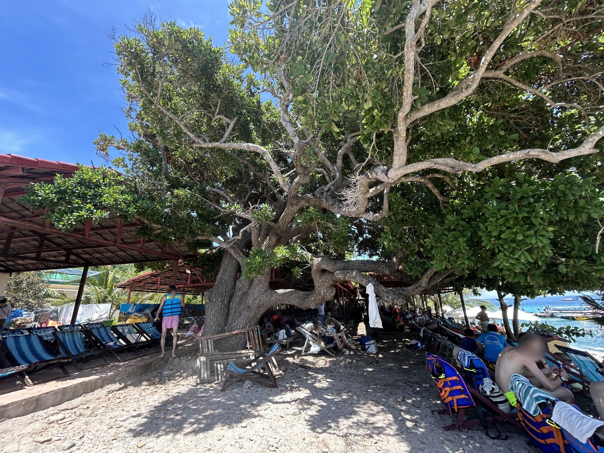 Street view near Hon Mun Resort, Nha Trang — © ruslan_fat (CC BY-SA · Mapillary)