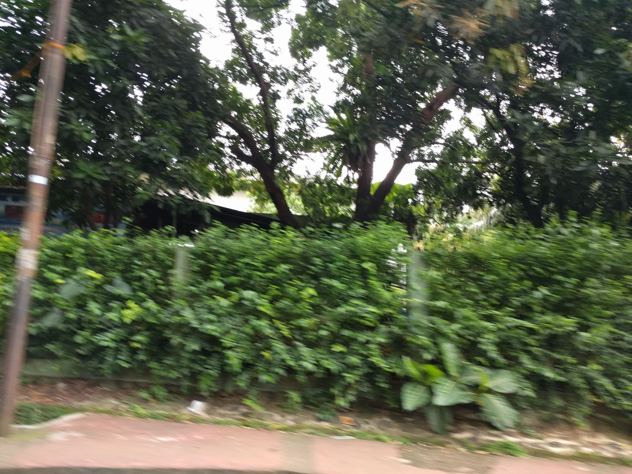Street view near Padma hotel bandung, Bogor — © tfachrina (CC BY-SA · Mapillary)