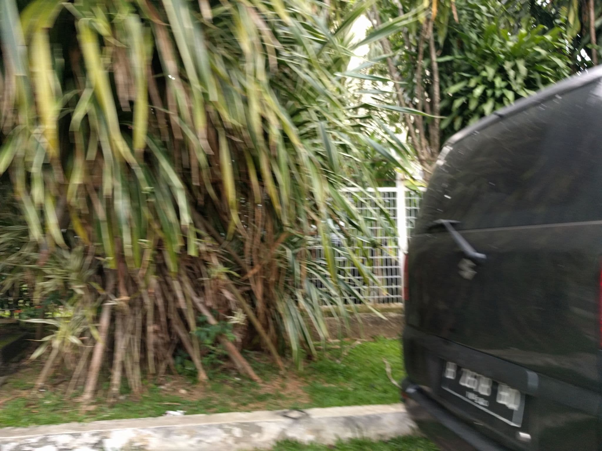 Street view near SBTH Hotel, Bogor — © tfachrina (CC BY-SA · Mapillary)