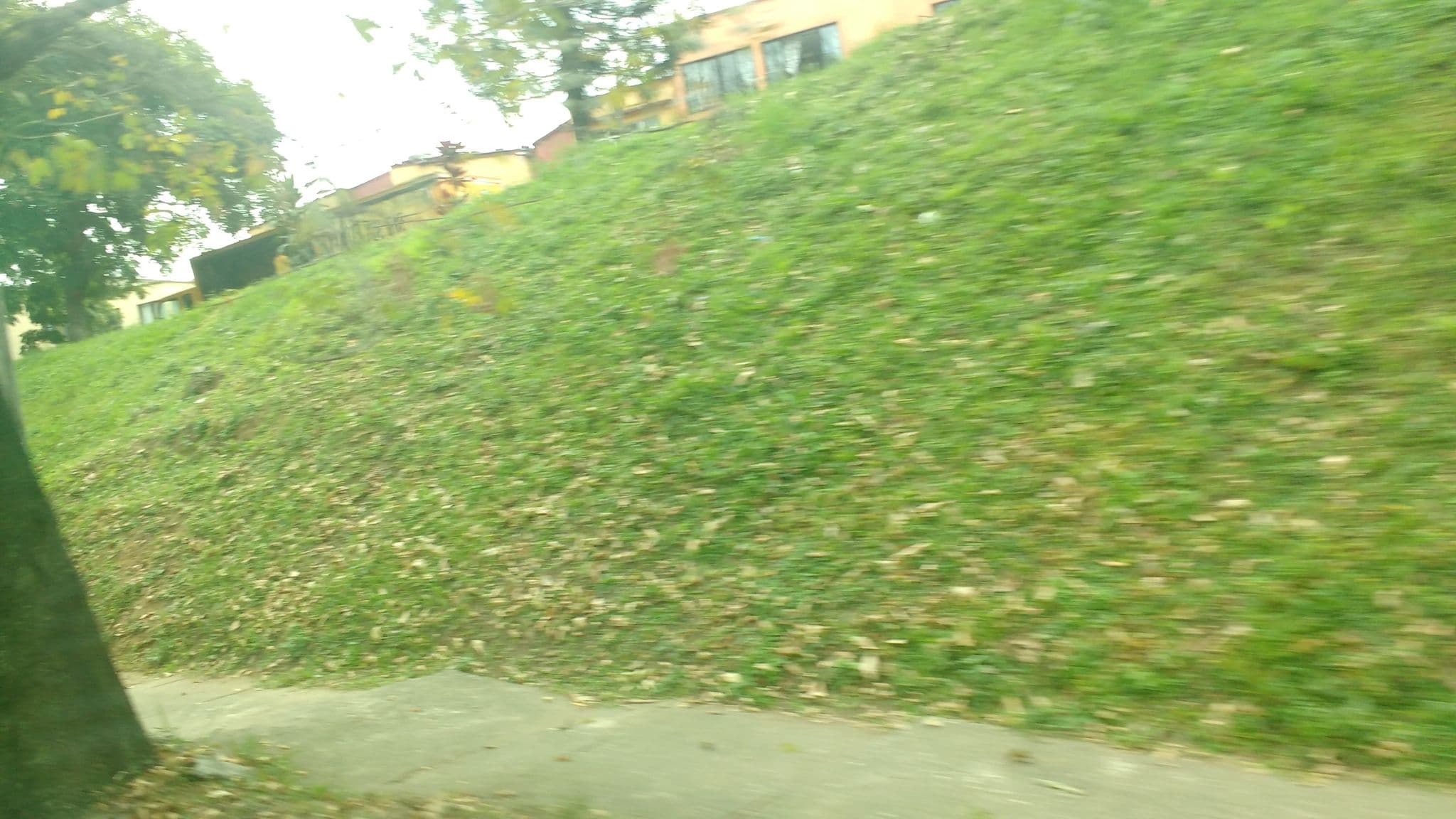 Street view near Apartasuites 21 A, Pereira — © diany (CC BY-SA · Mapillary)