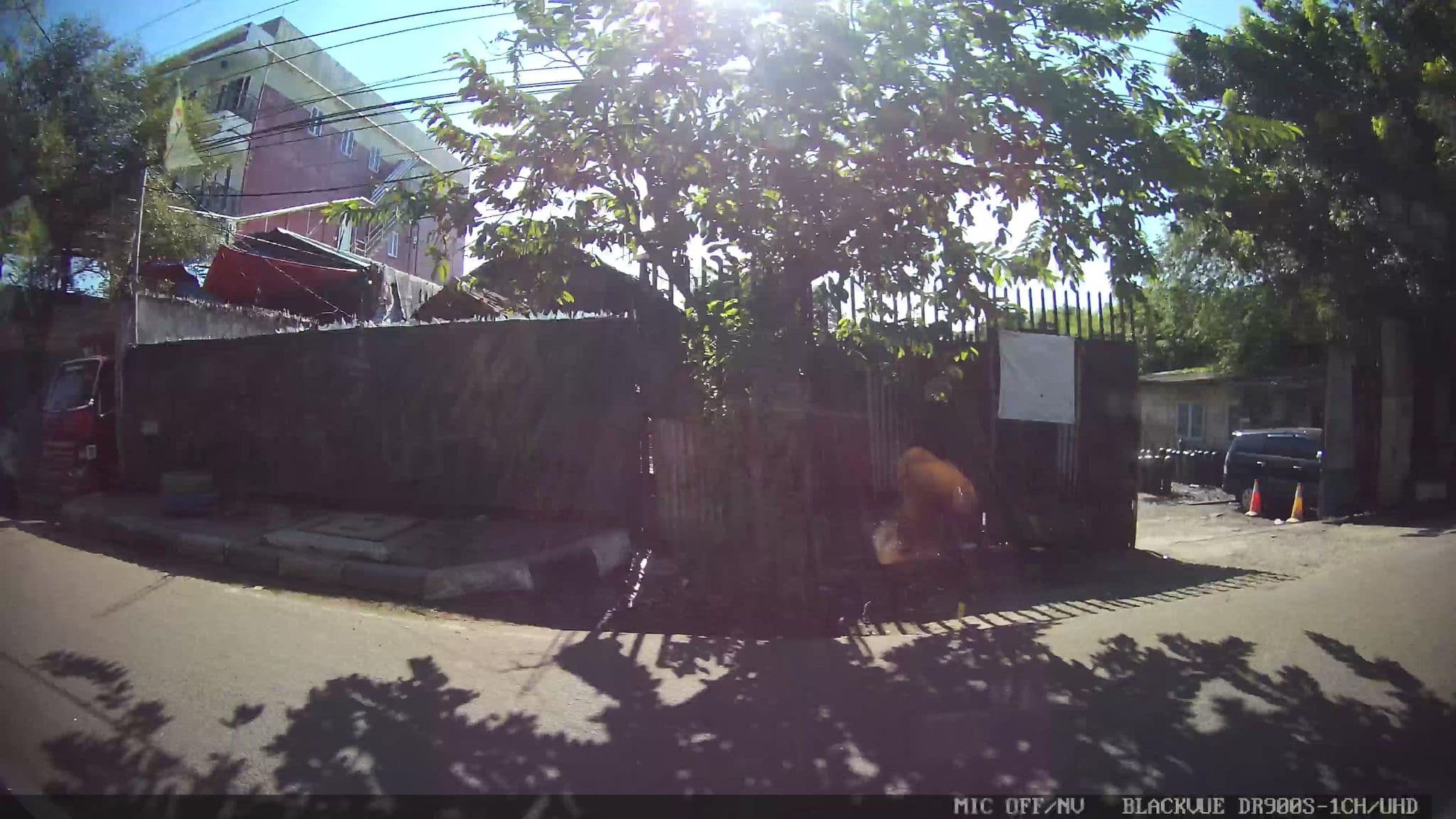Street view near Swiss-Belhotel Jayapura, Teluknaga — © kaart_3 (CC BY-SA · Mapillary)