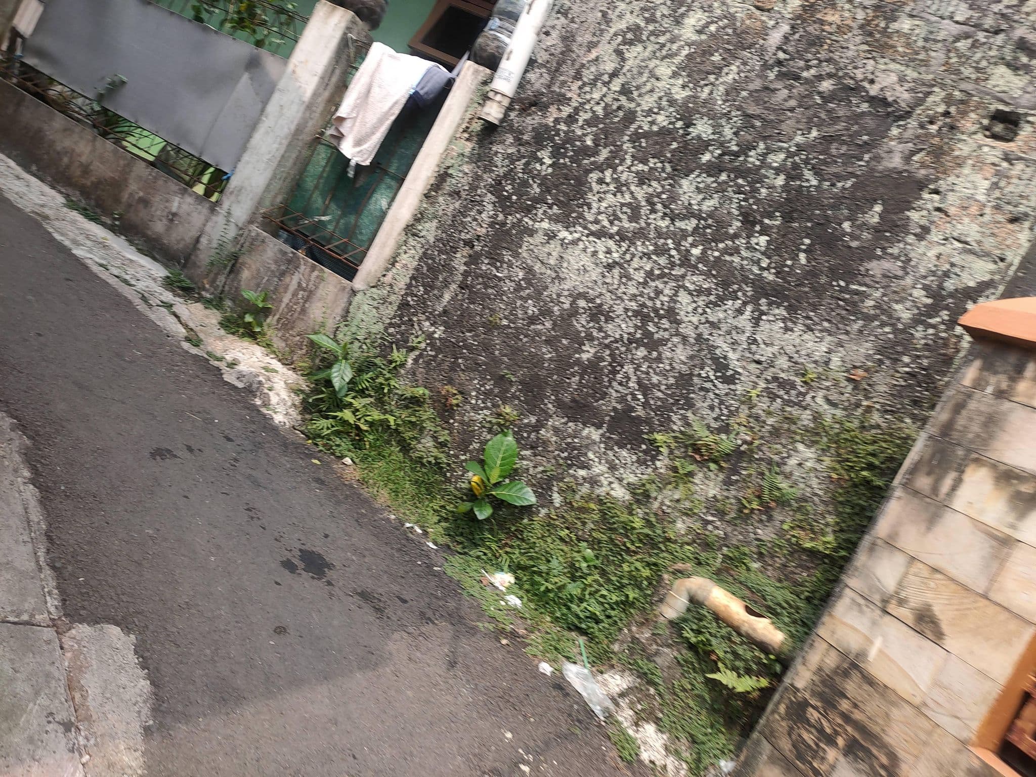 Street view near Room 431 Hotel Pandanaran, Depok — © Kaart_Local (CC BY-SA · Mapillary)