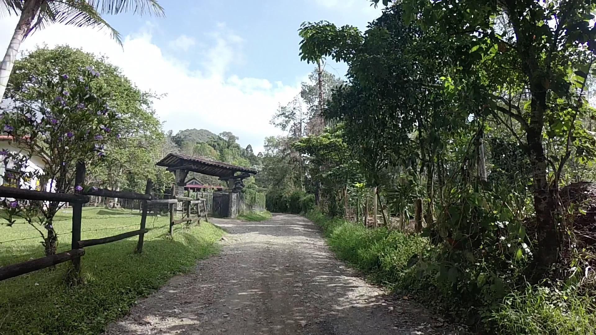 Street view near Piedemonte, Salento — © hikingit (CC BY-SA · Mapillary)