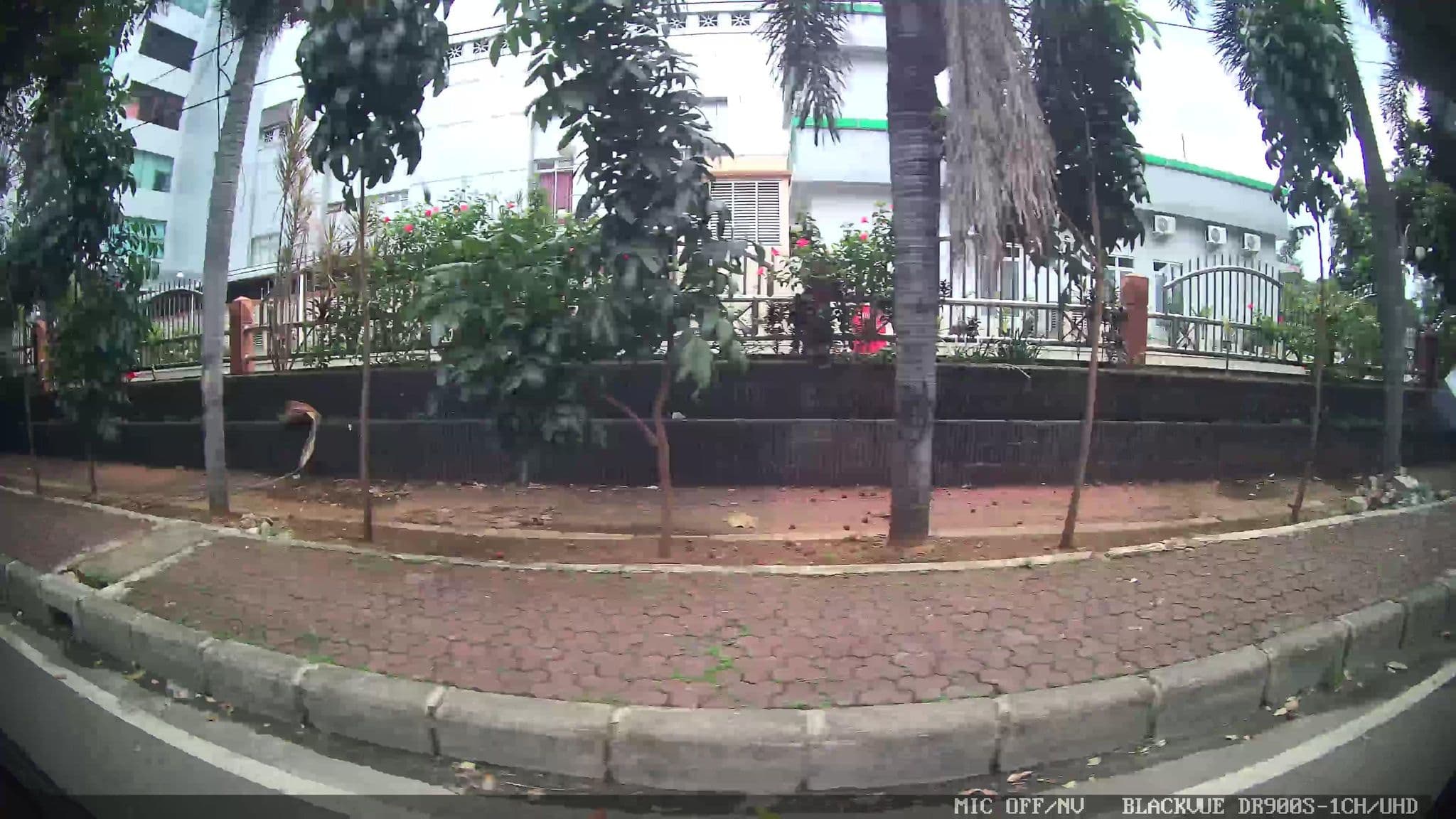 Street view near Adhi jaya sunset road bali, Jakarta — © Kaart---LEFT (CC BY-SA · Mapillary)